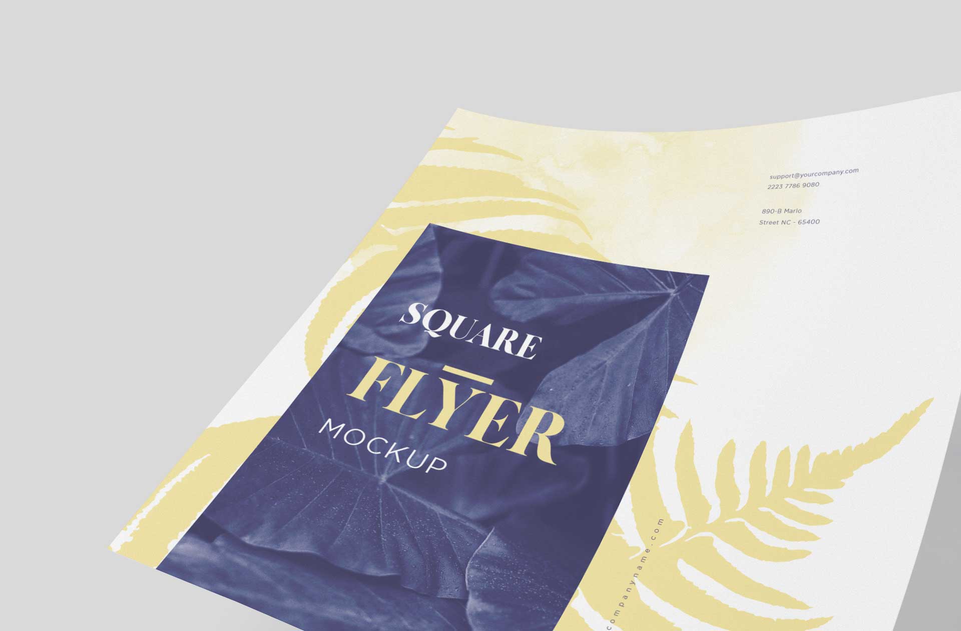 advertisement flyer branding