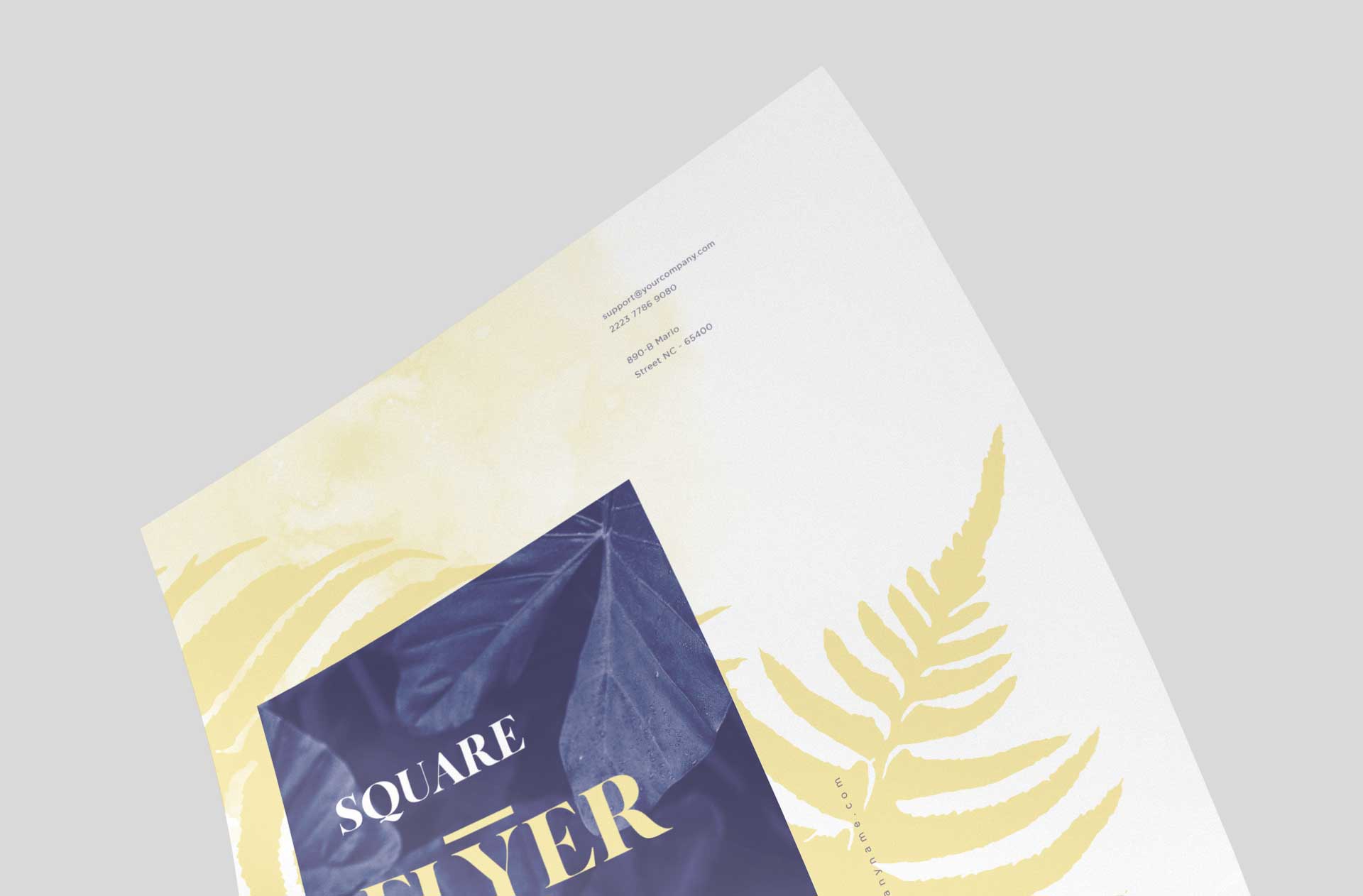 brochure layout mock-up