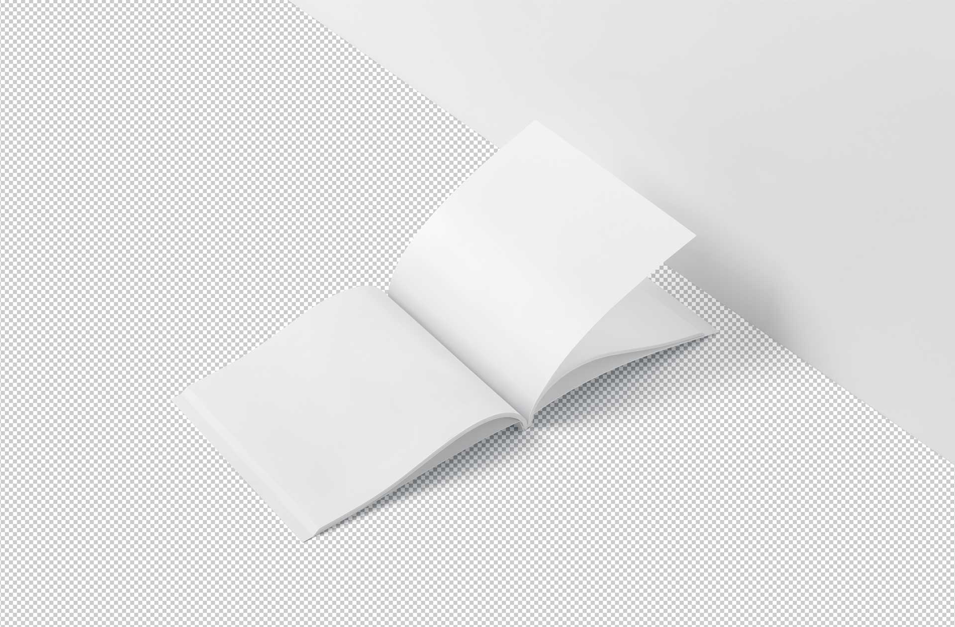 book branding mock-up