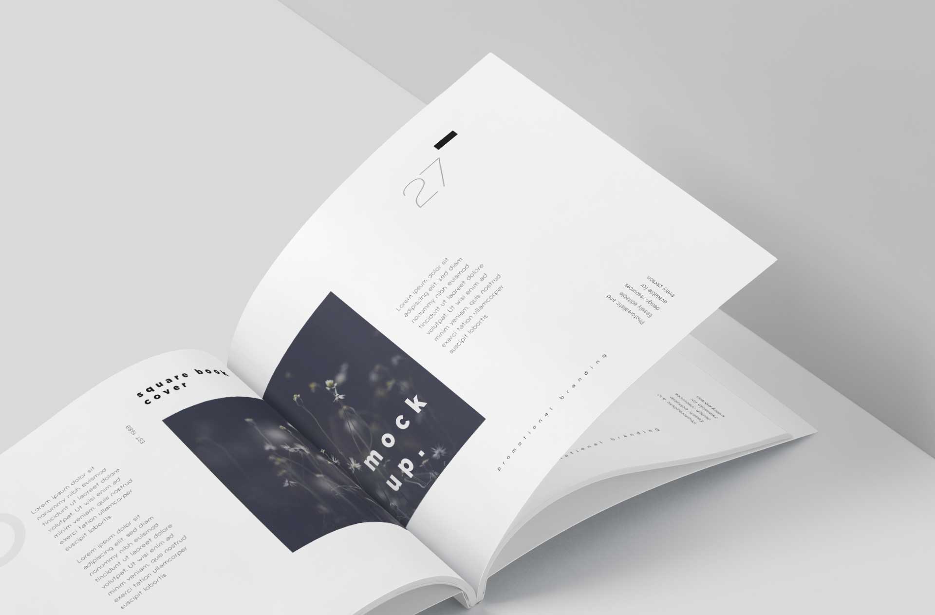 book branding mock-up