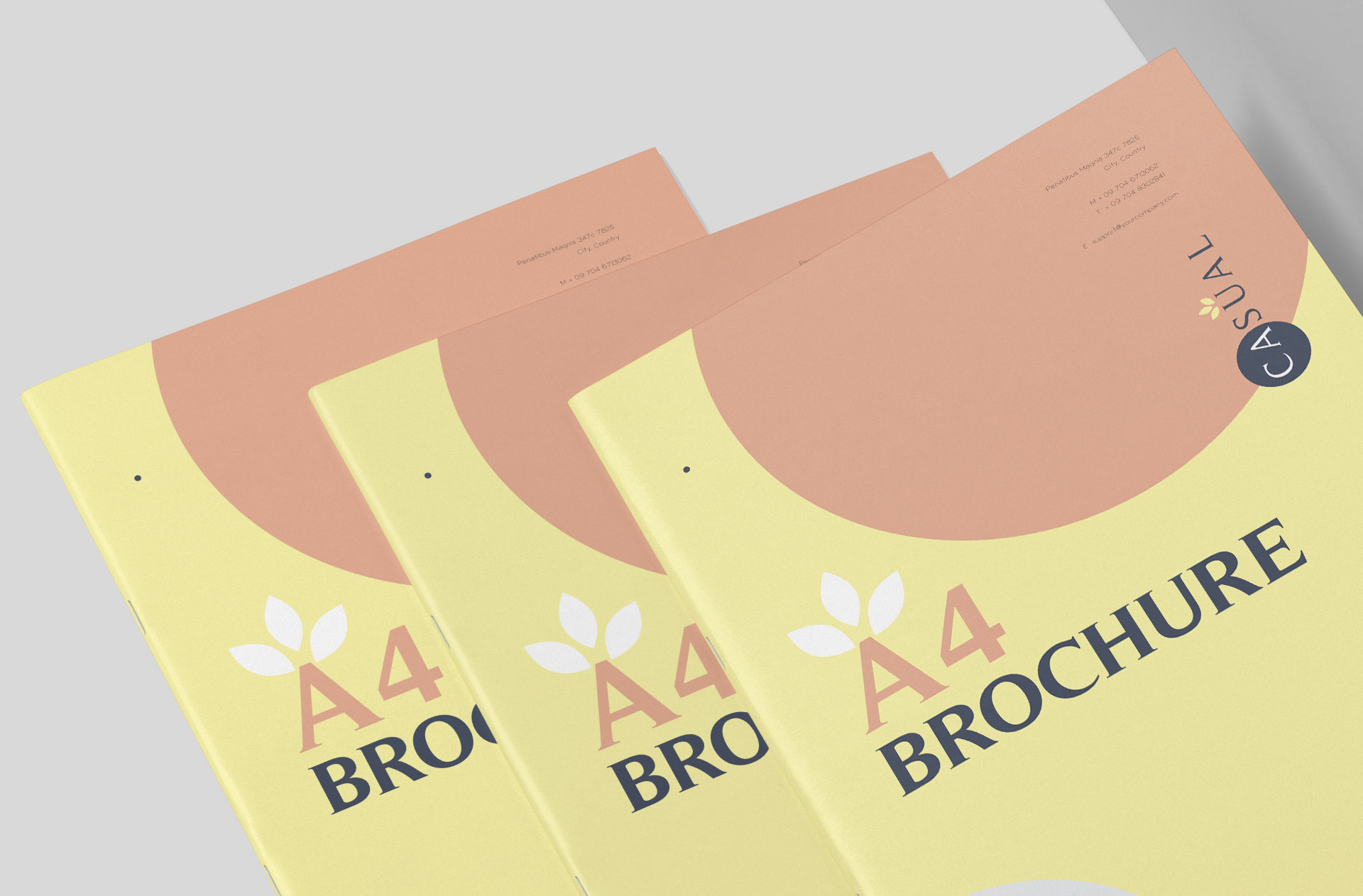 A4 booklet mock-up