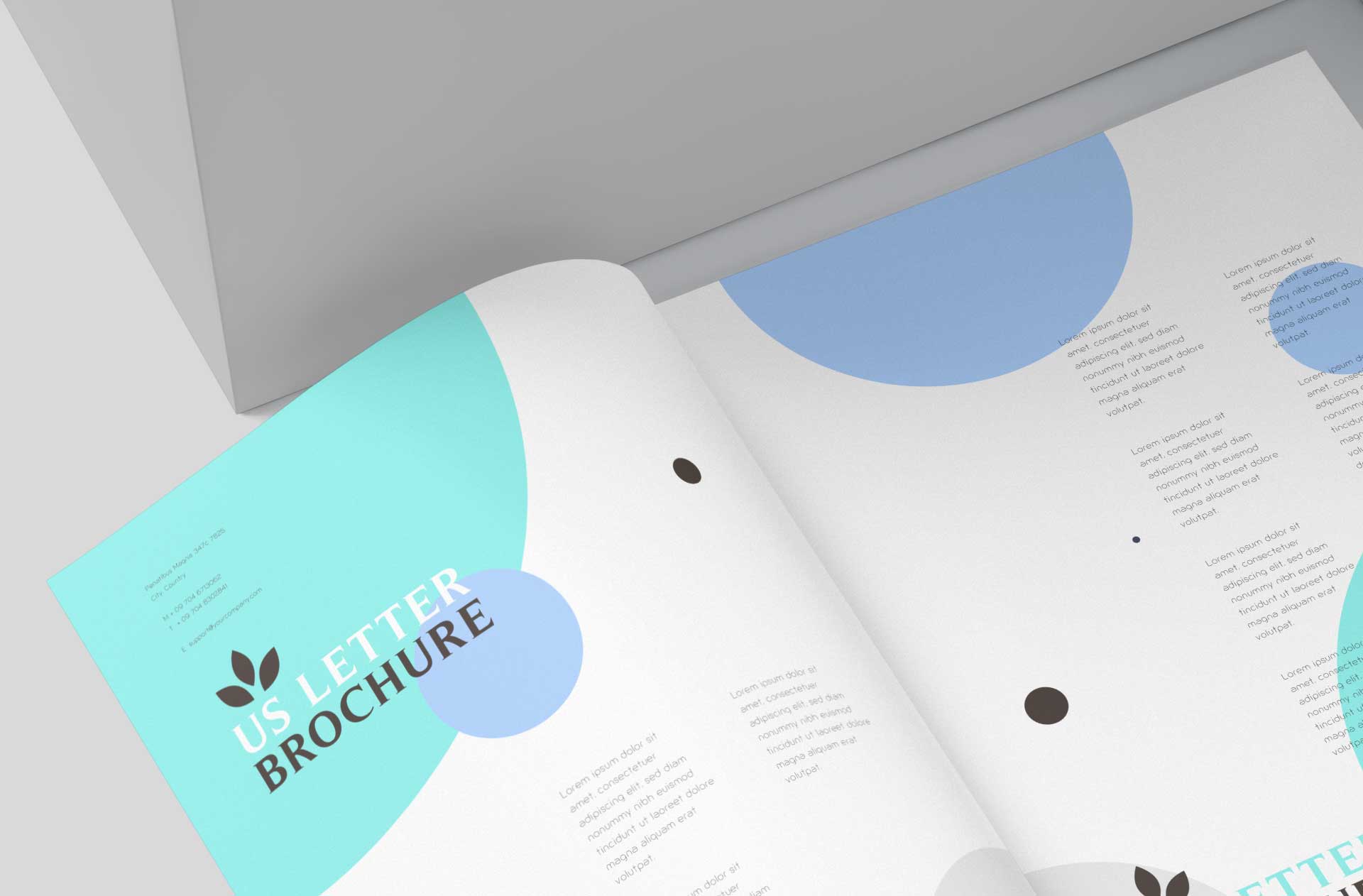 brochure design presentation