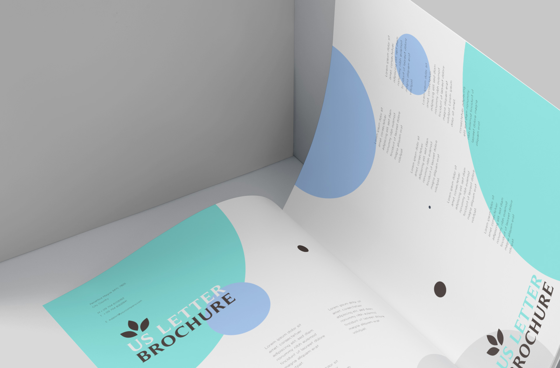 brochure design PSD