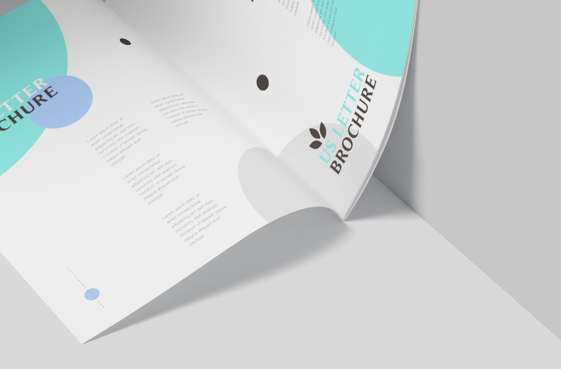 brochure design PSD