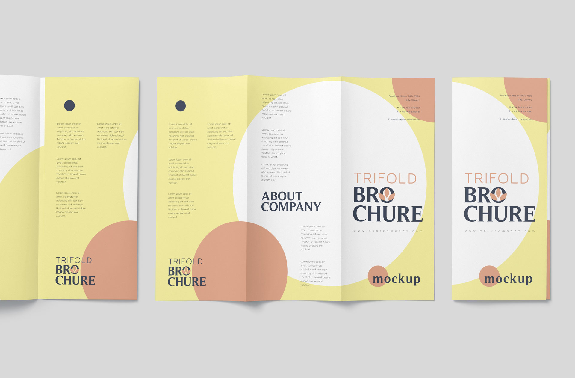 Minimalist A4 Trifold Brochure Mock-Up