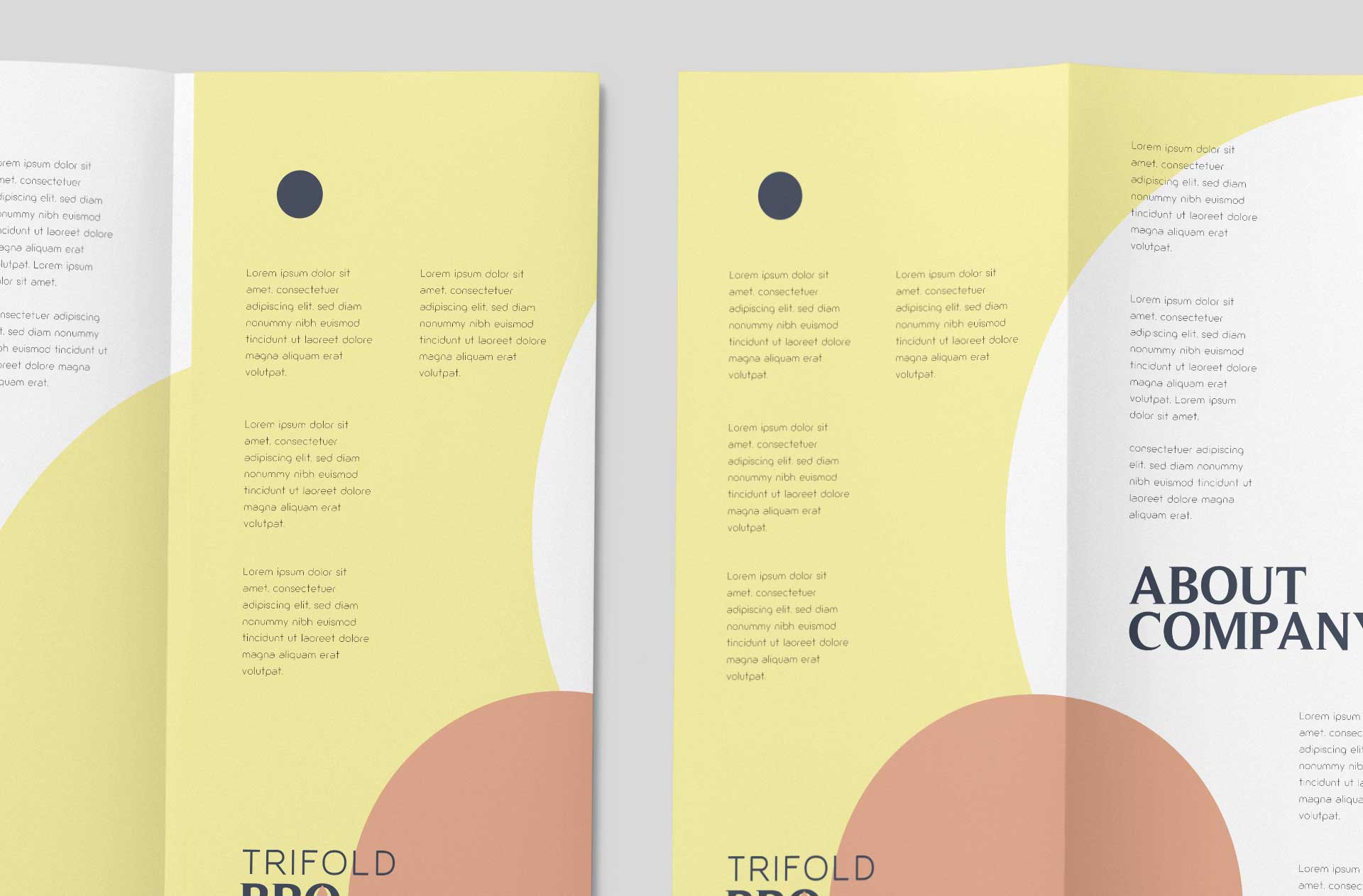 A4 brochure mockup