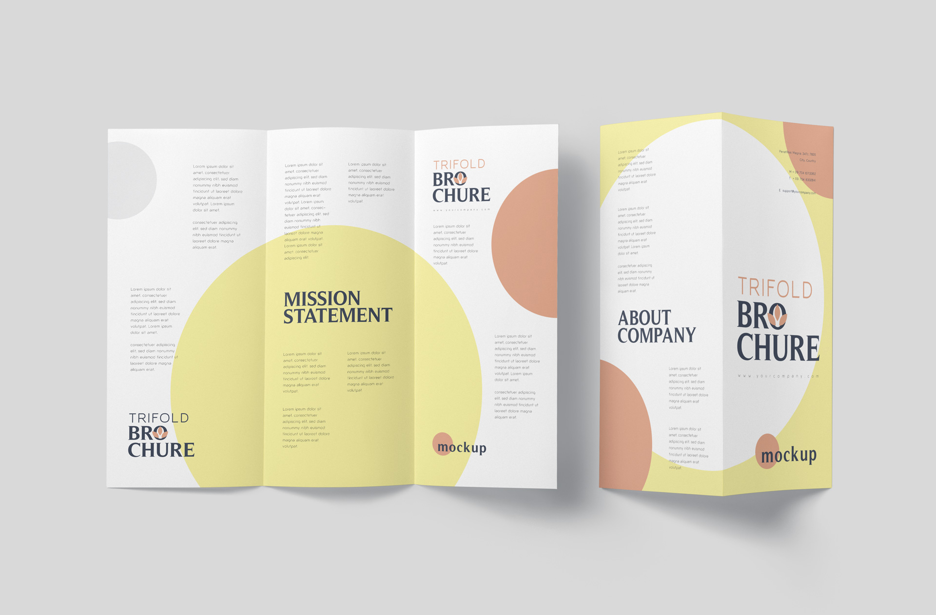 Elegant Folded Brochure Mockup with Realistic Details