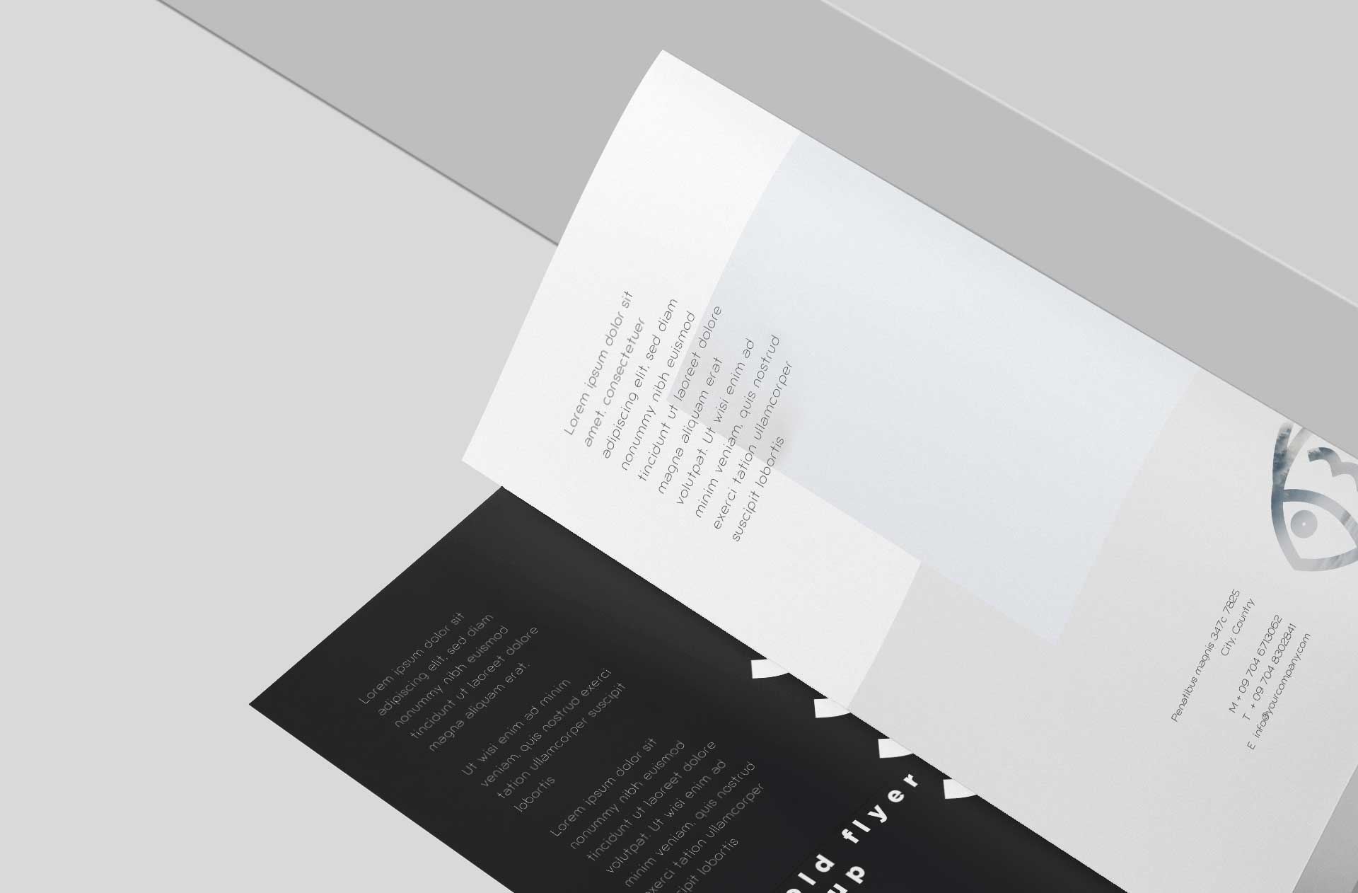 A4 trifold mockup