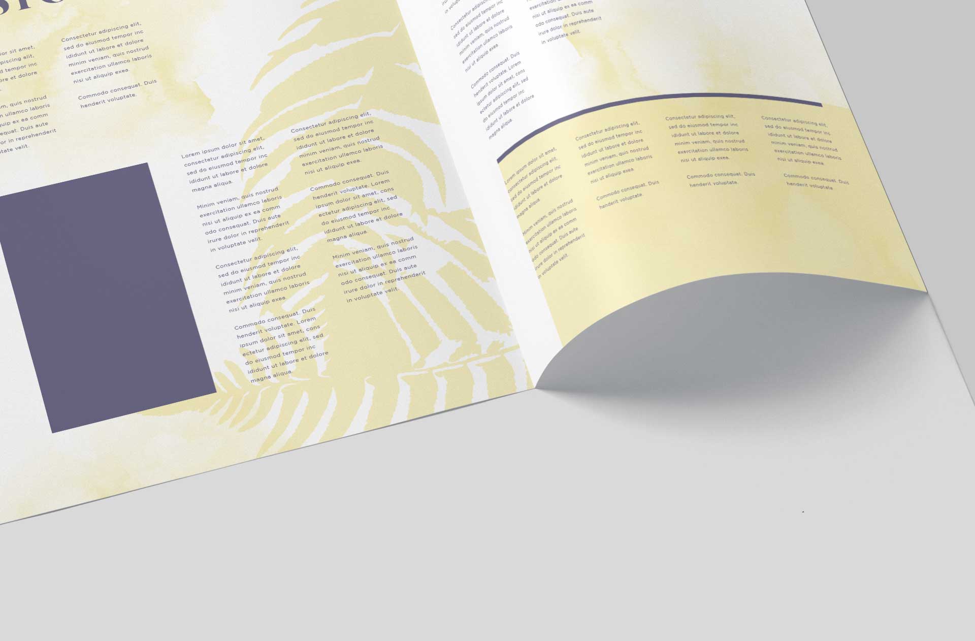 a4 bi-fold