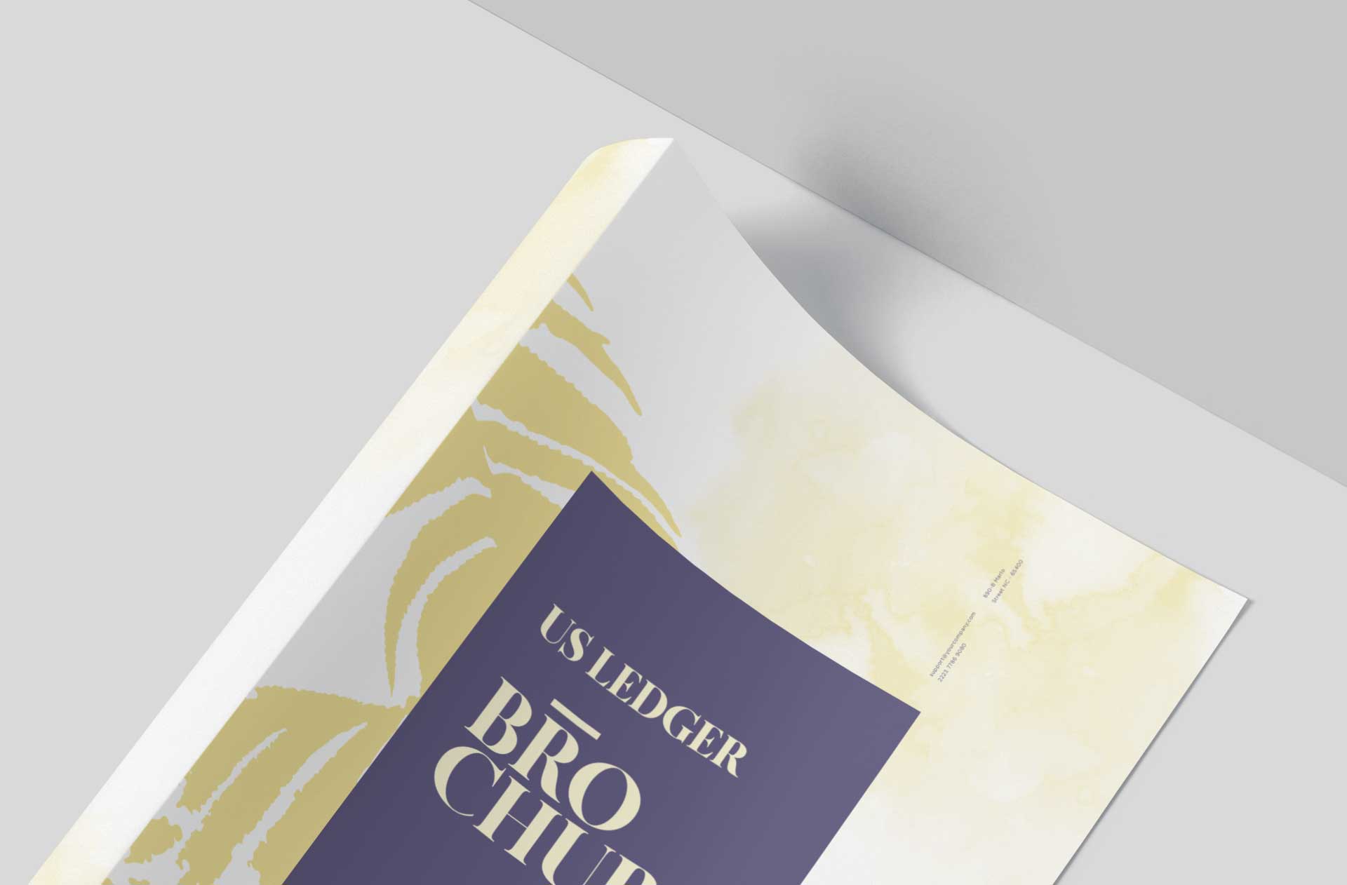 A4 bi-fold brochure