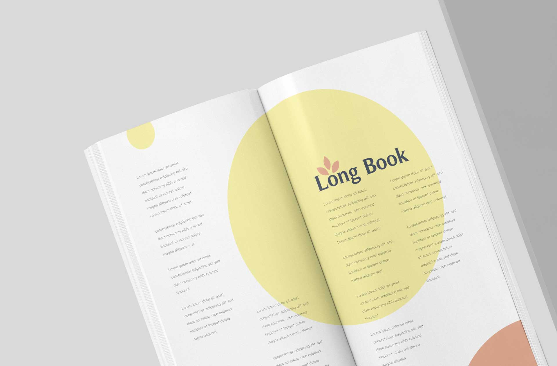 advertising book PSD