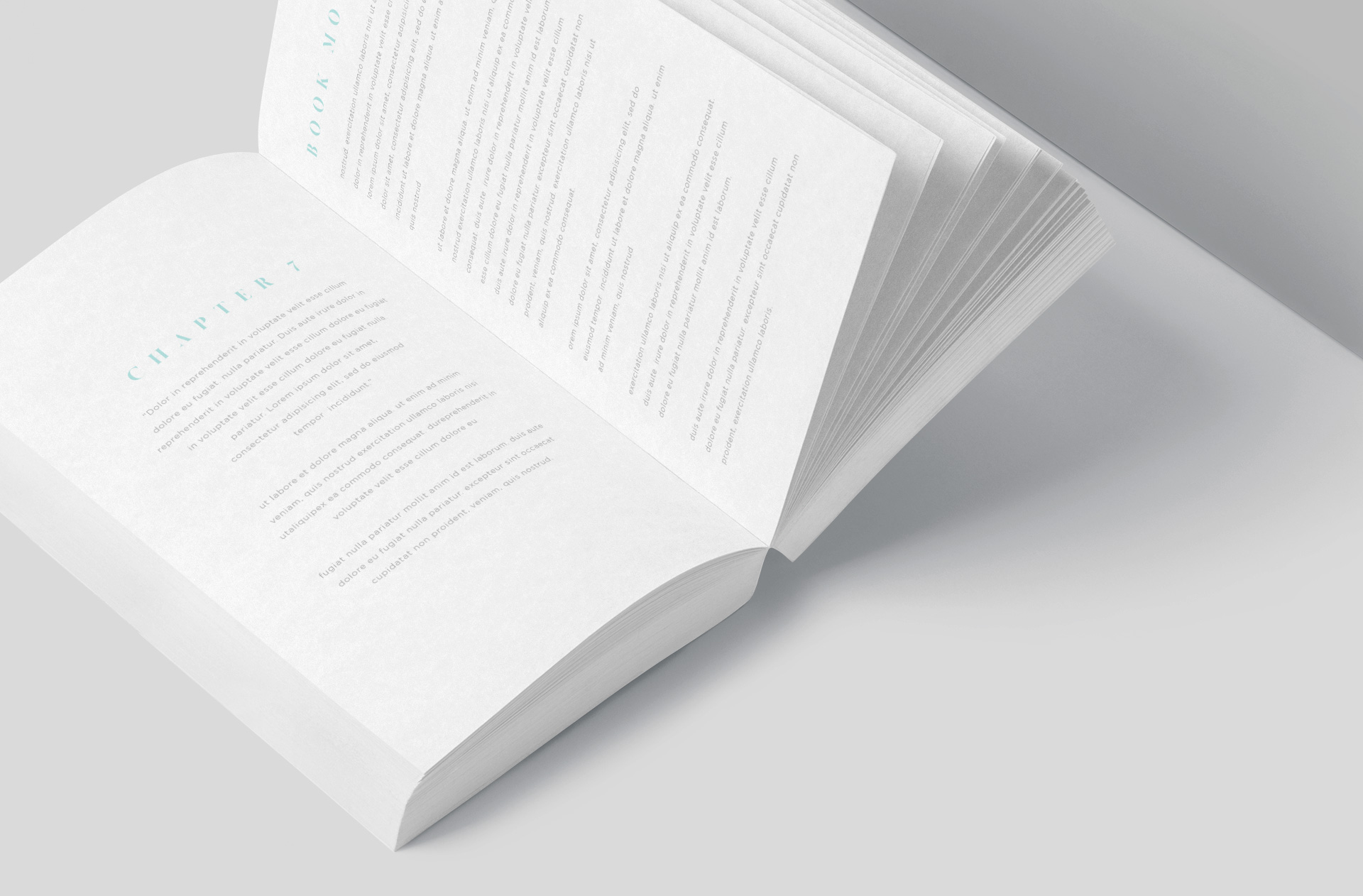 advertising book design