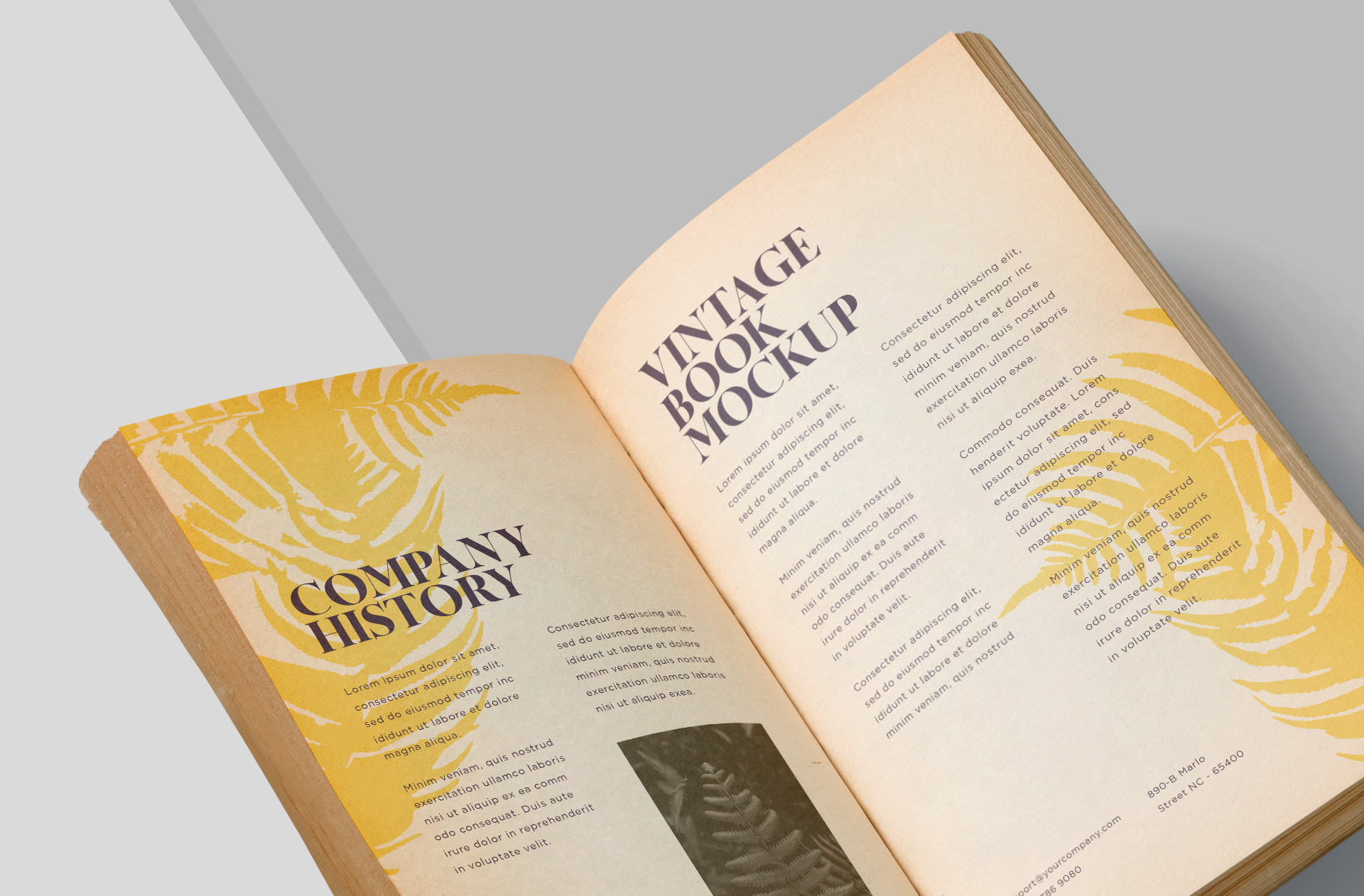 advertising book design