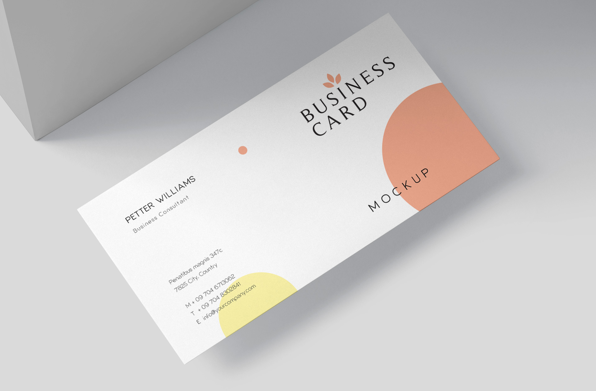 corporate business card mockup