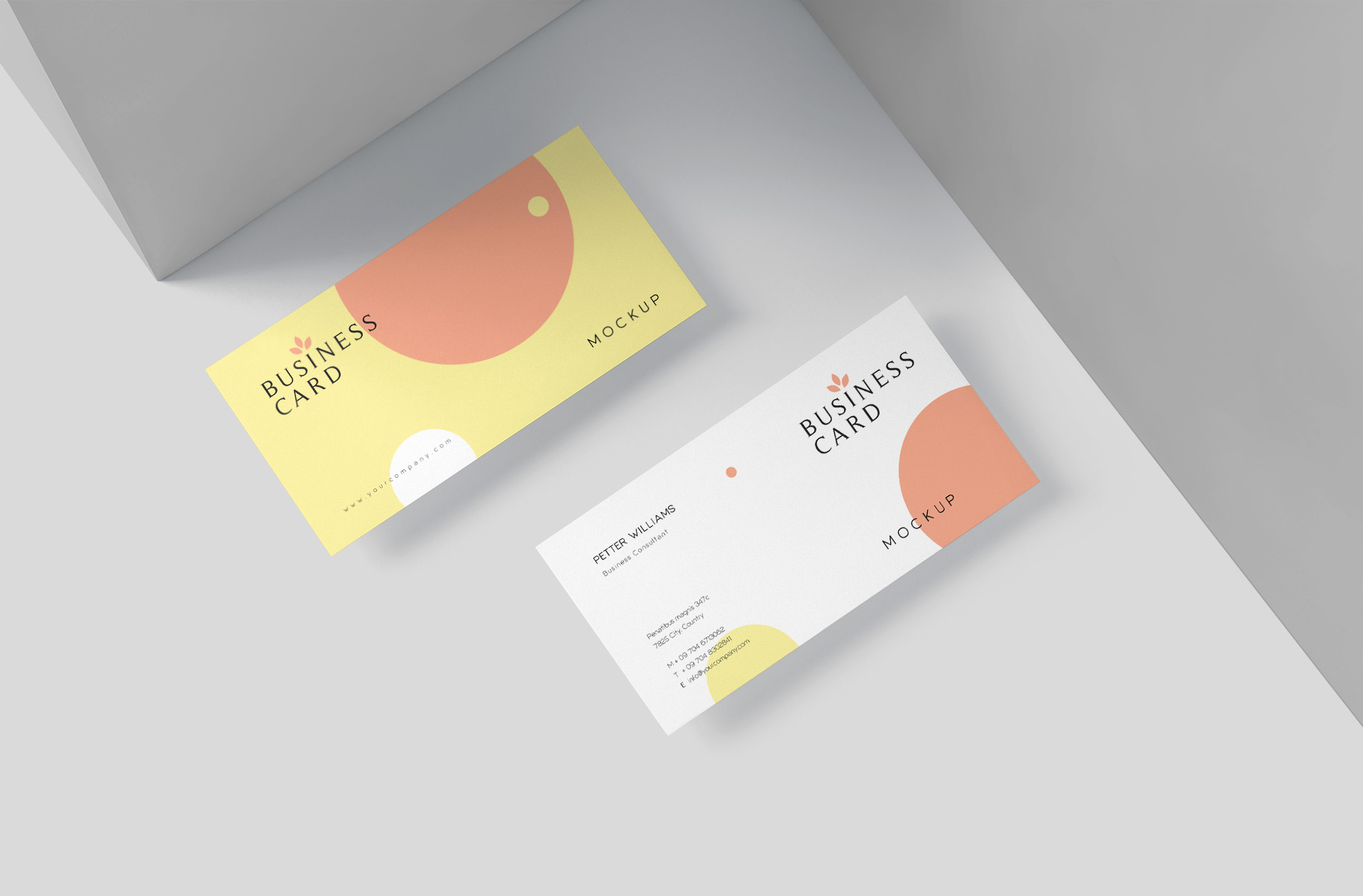 Flat Business Card Mock-up Clean and Professional Layout