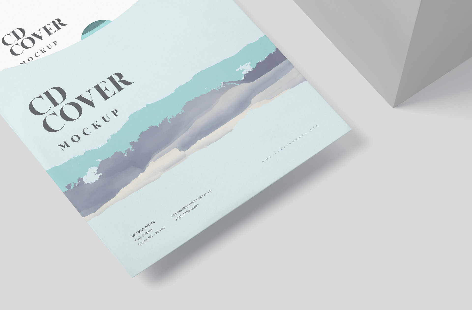 customizable disc packaging