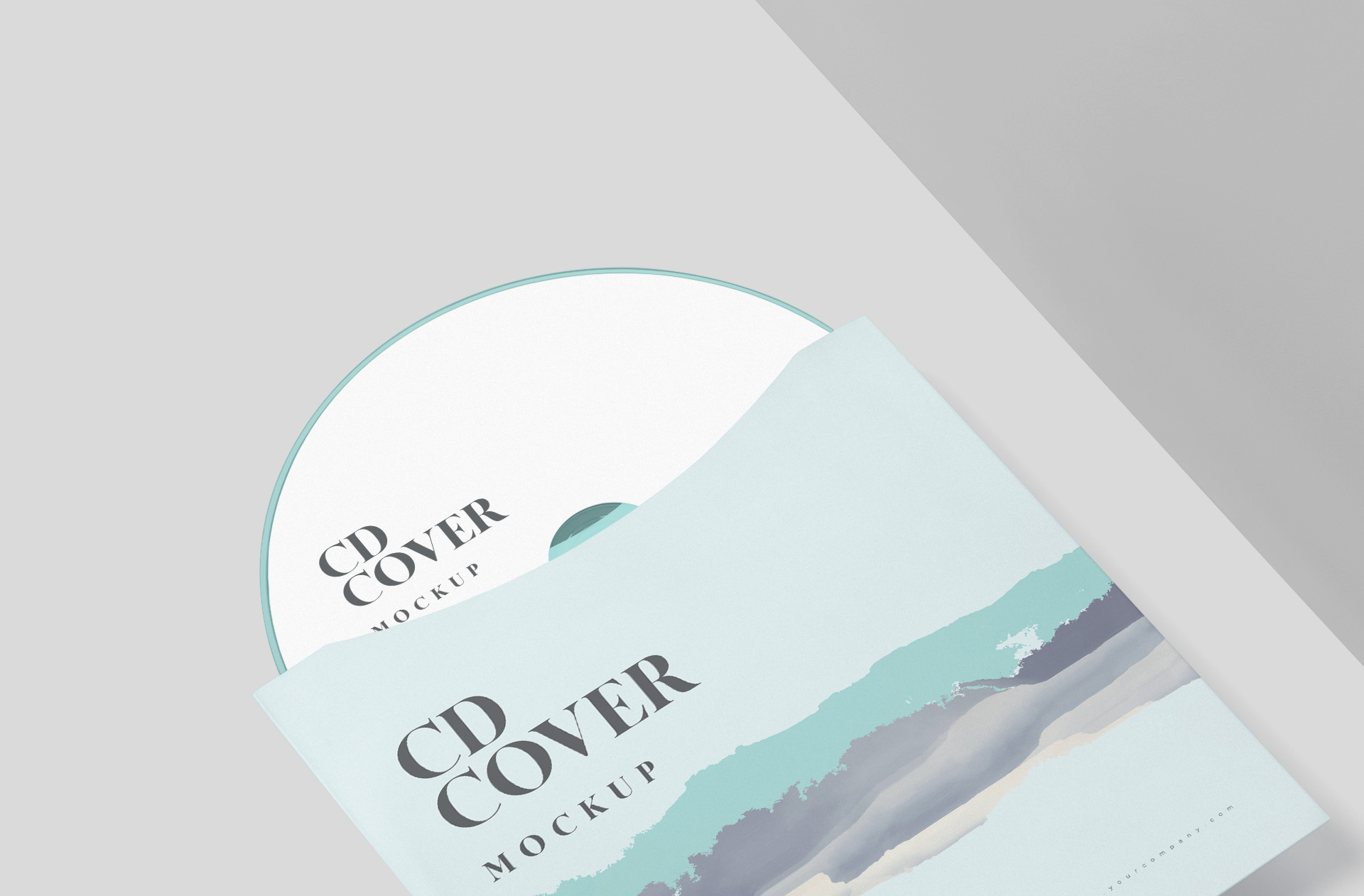 customizable disc packaging