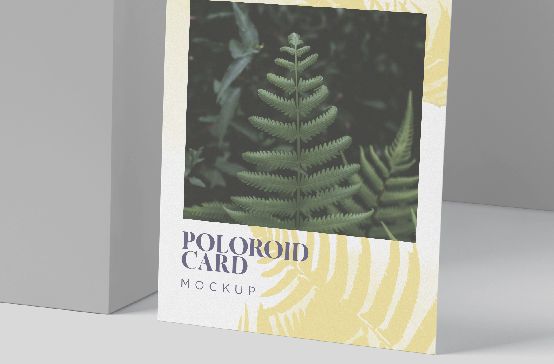 creative polaroid mockup