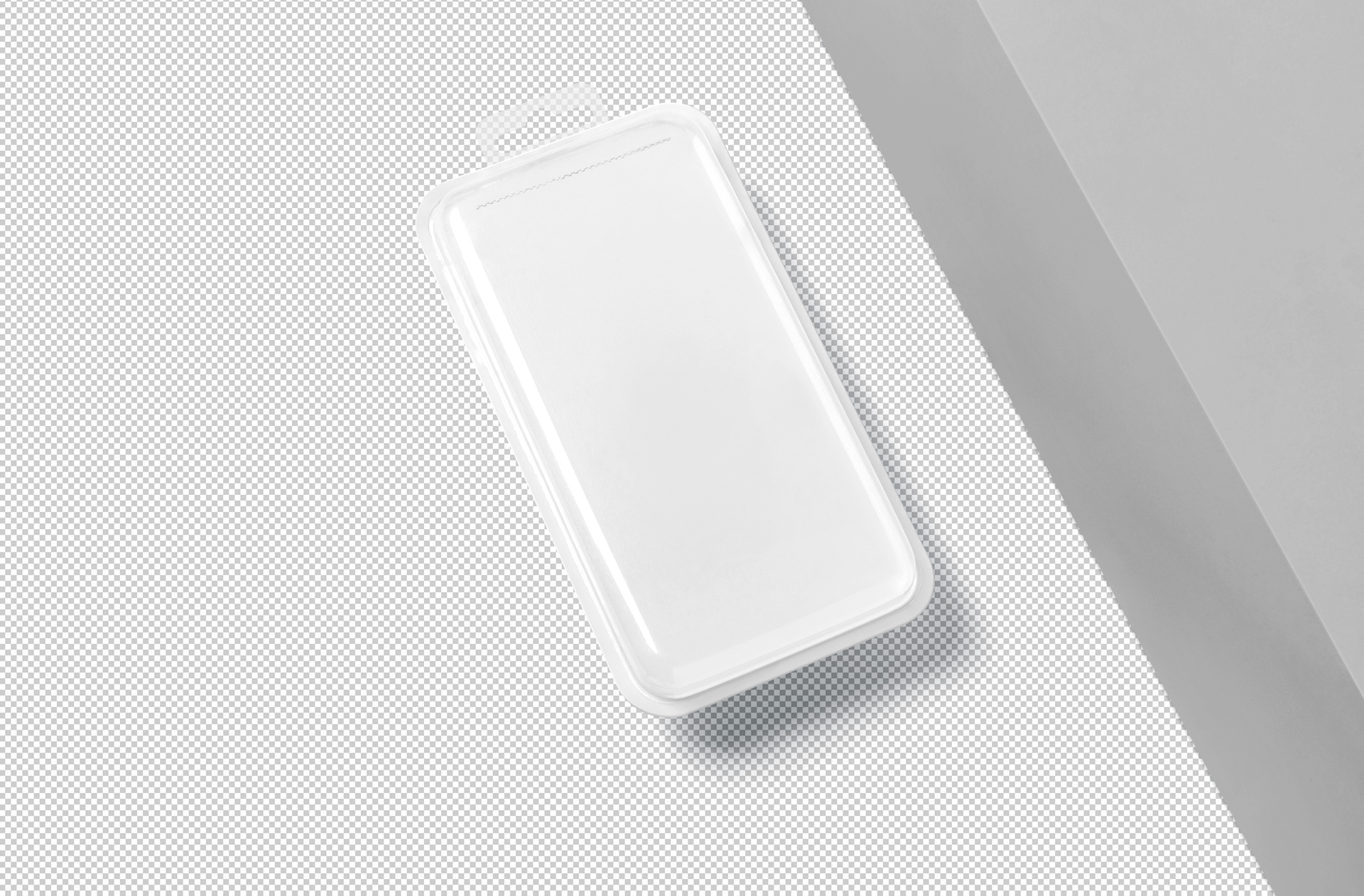 blister packaging mock-up