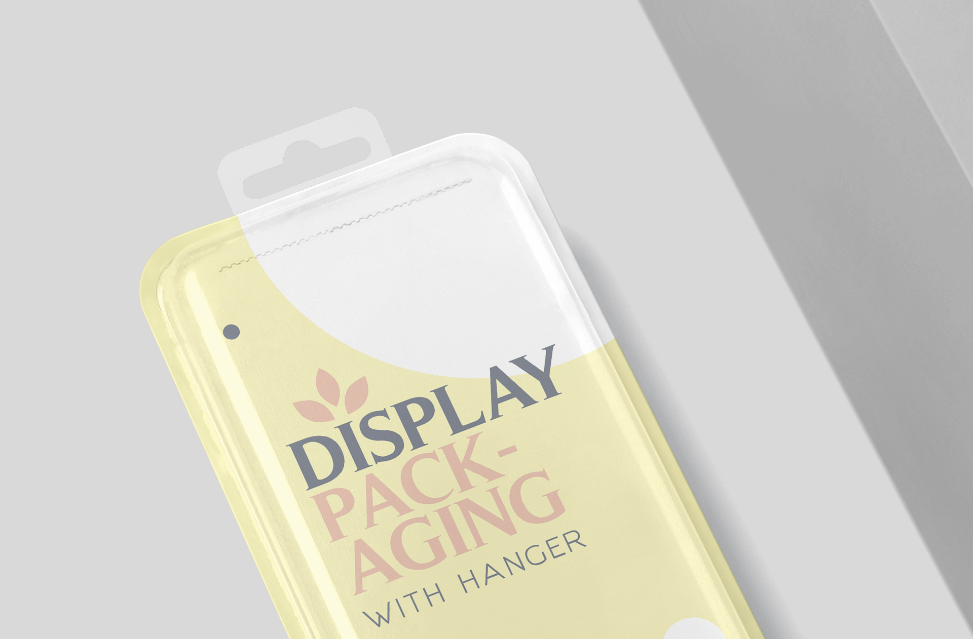 blister packaging mock-up