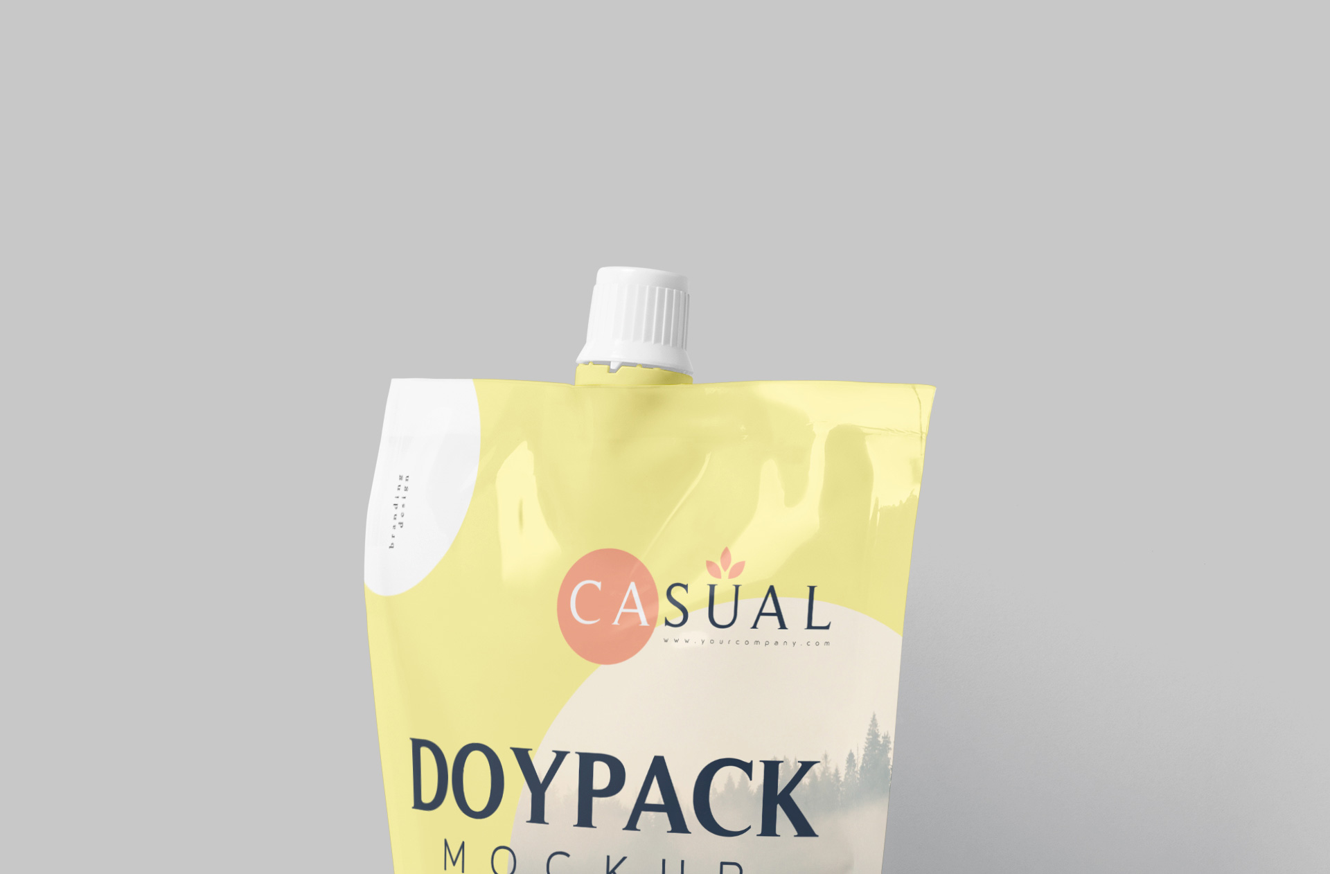 branding packaging mockup