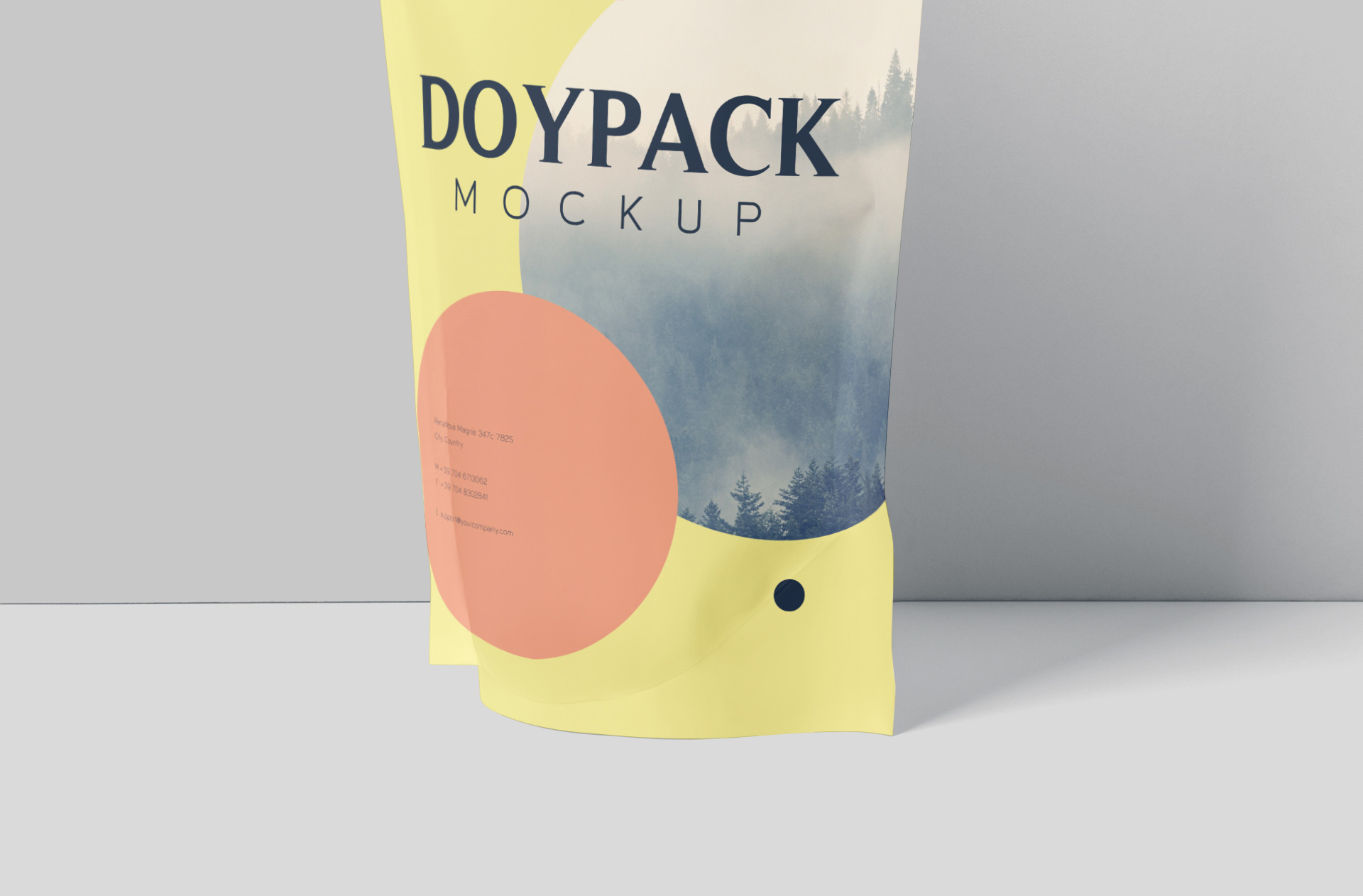 branding packaging mockup