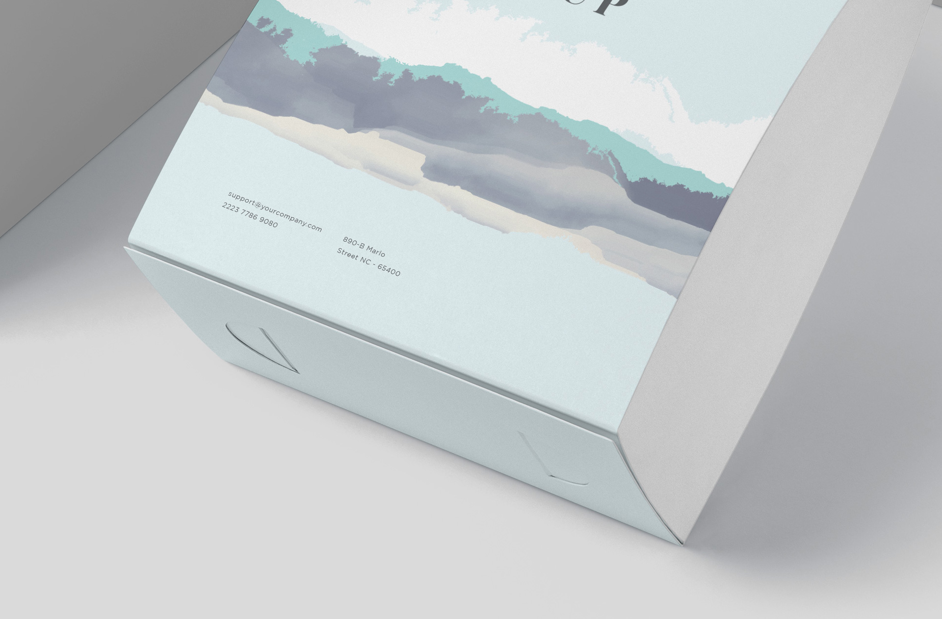 customizable branding mock-up