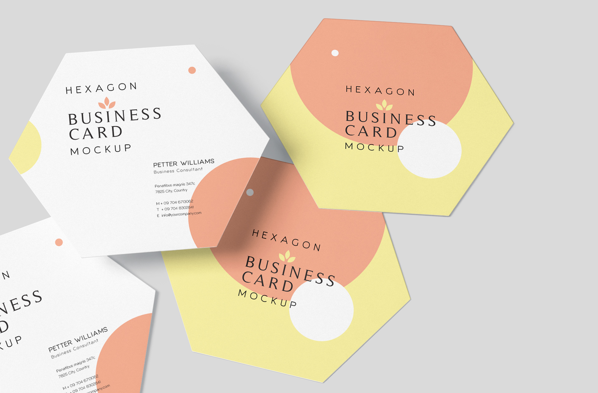 branding presentation