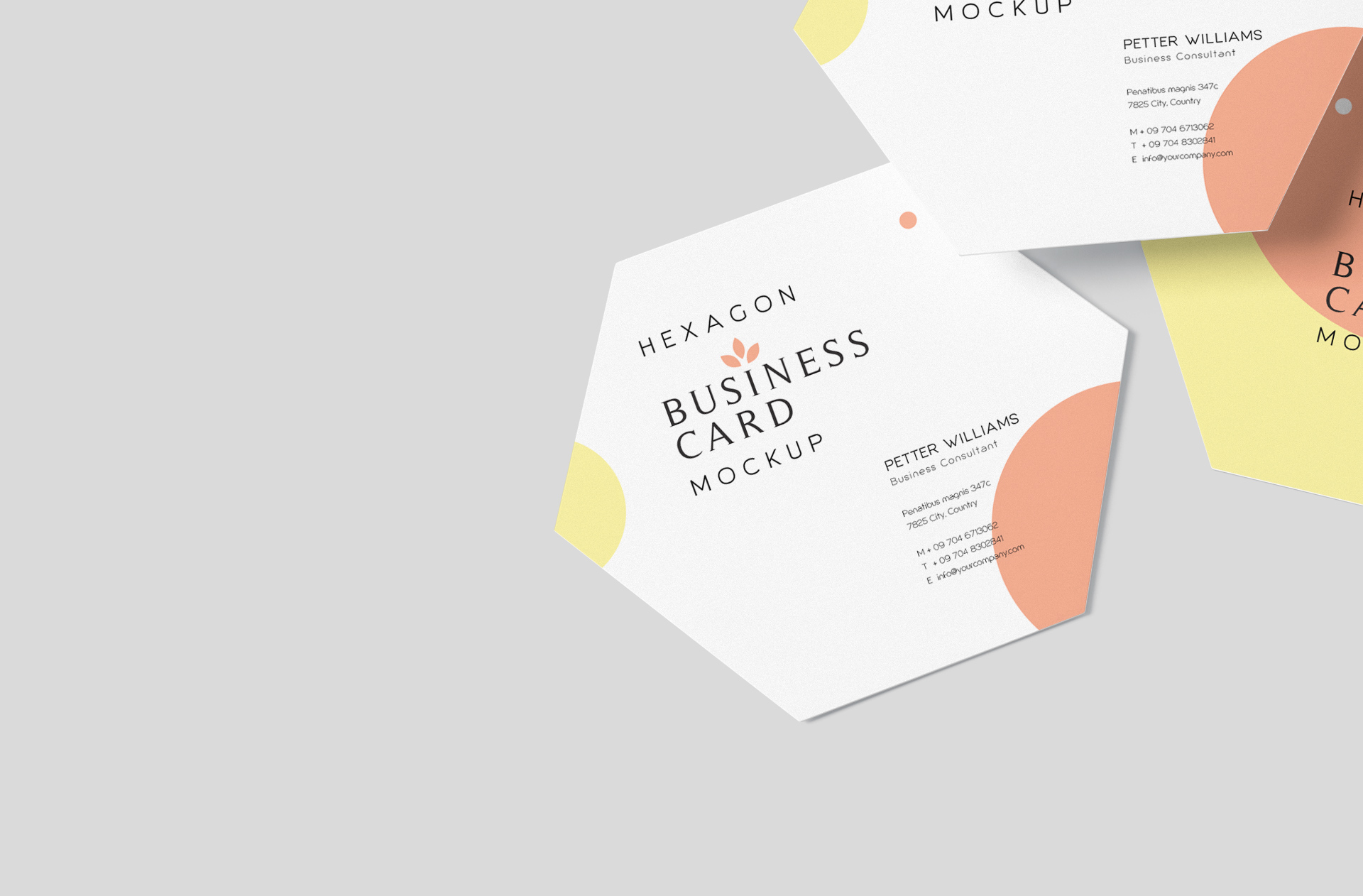 branding presentation