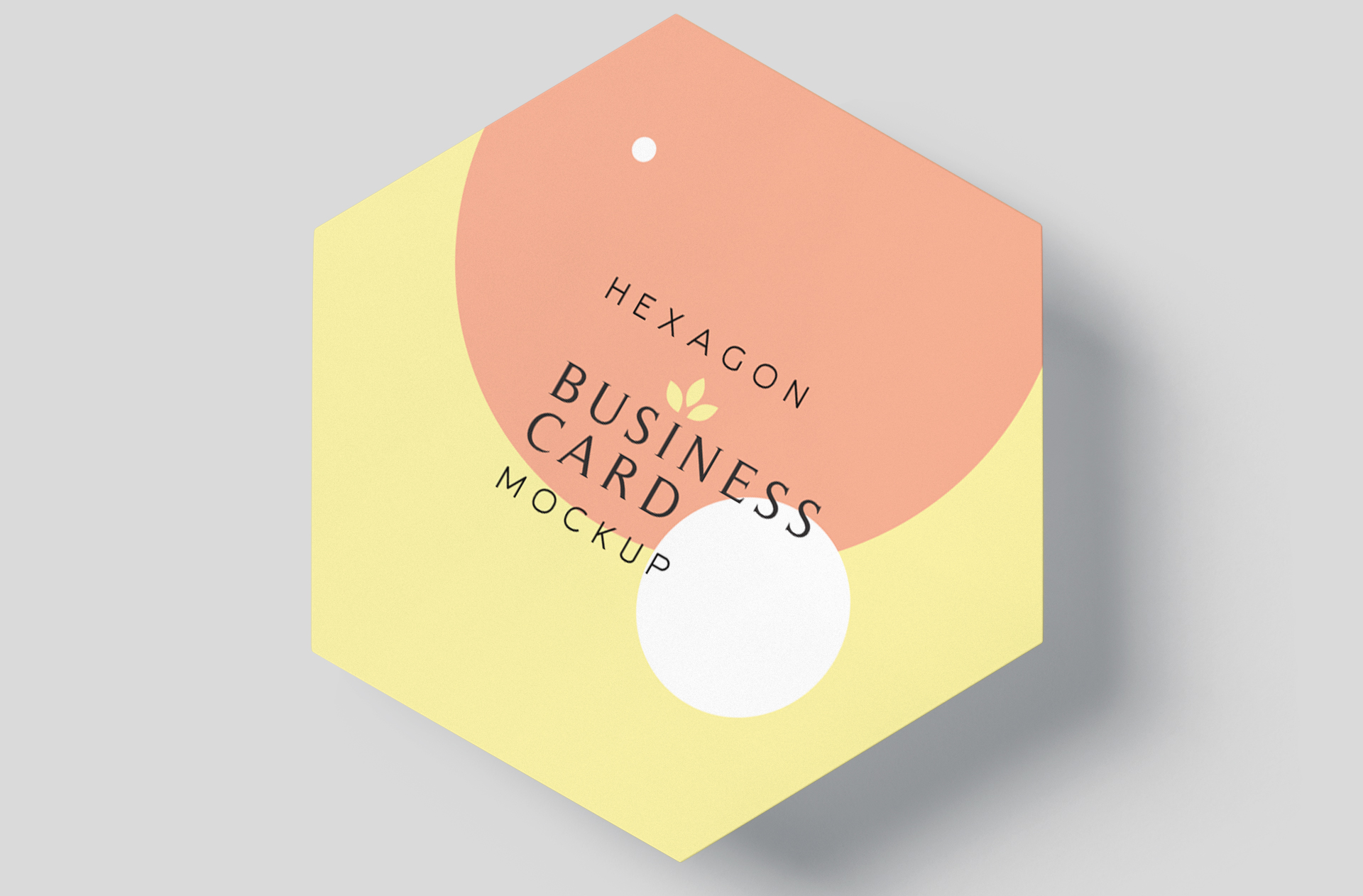 business card mockup