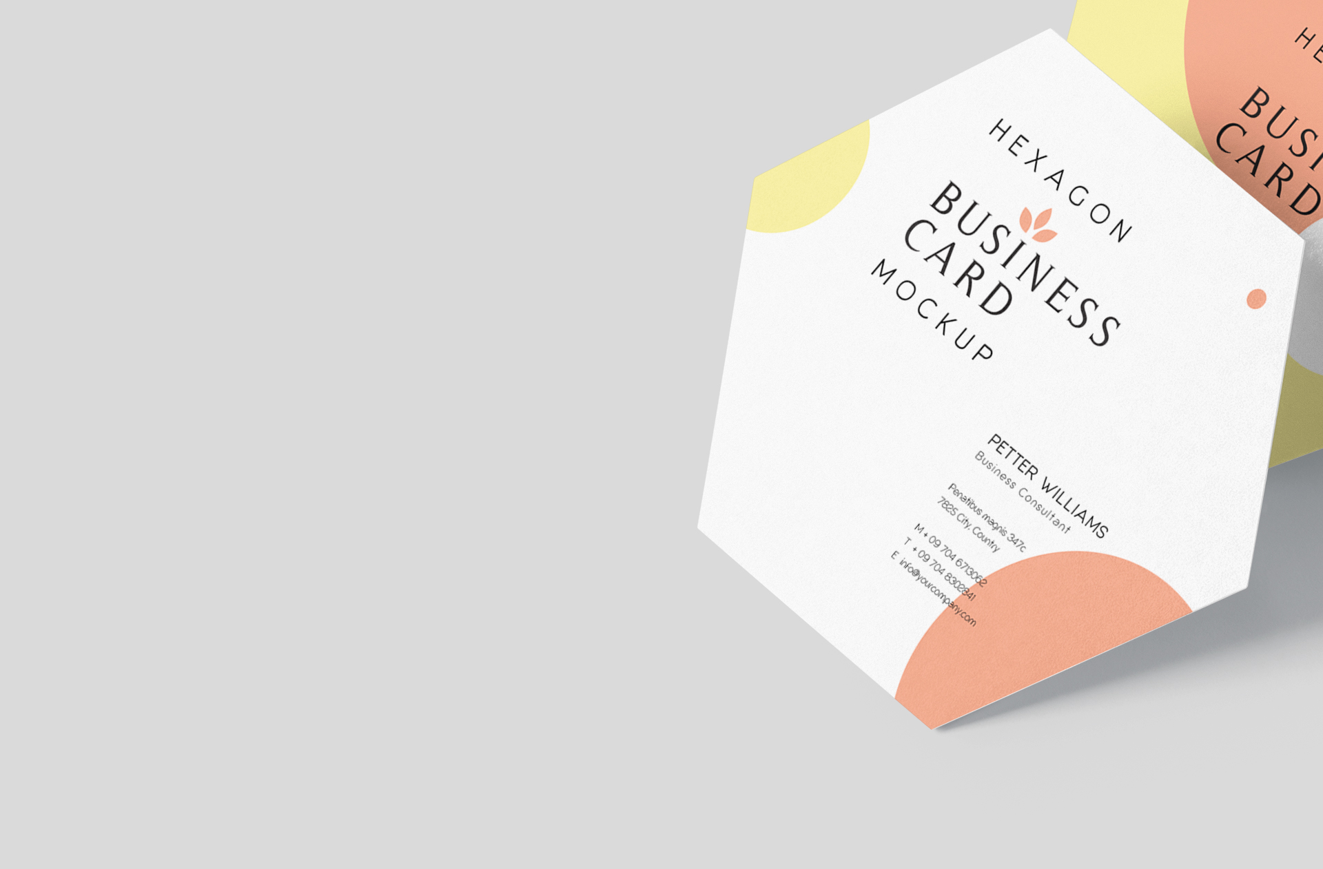 business card mockup