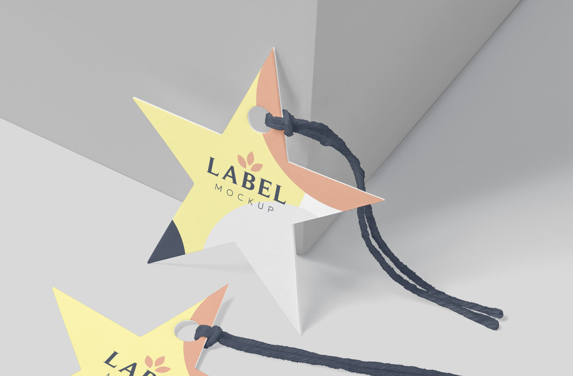 apparel branding template