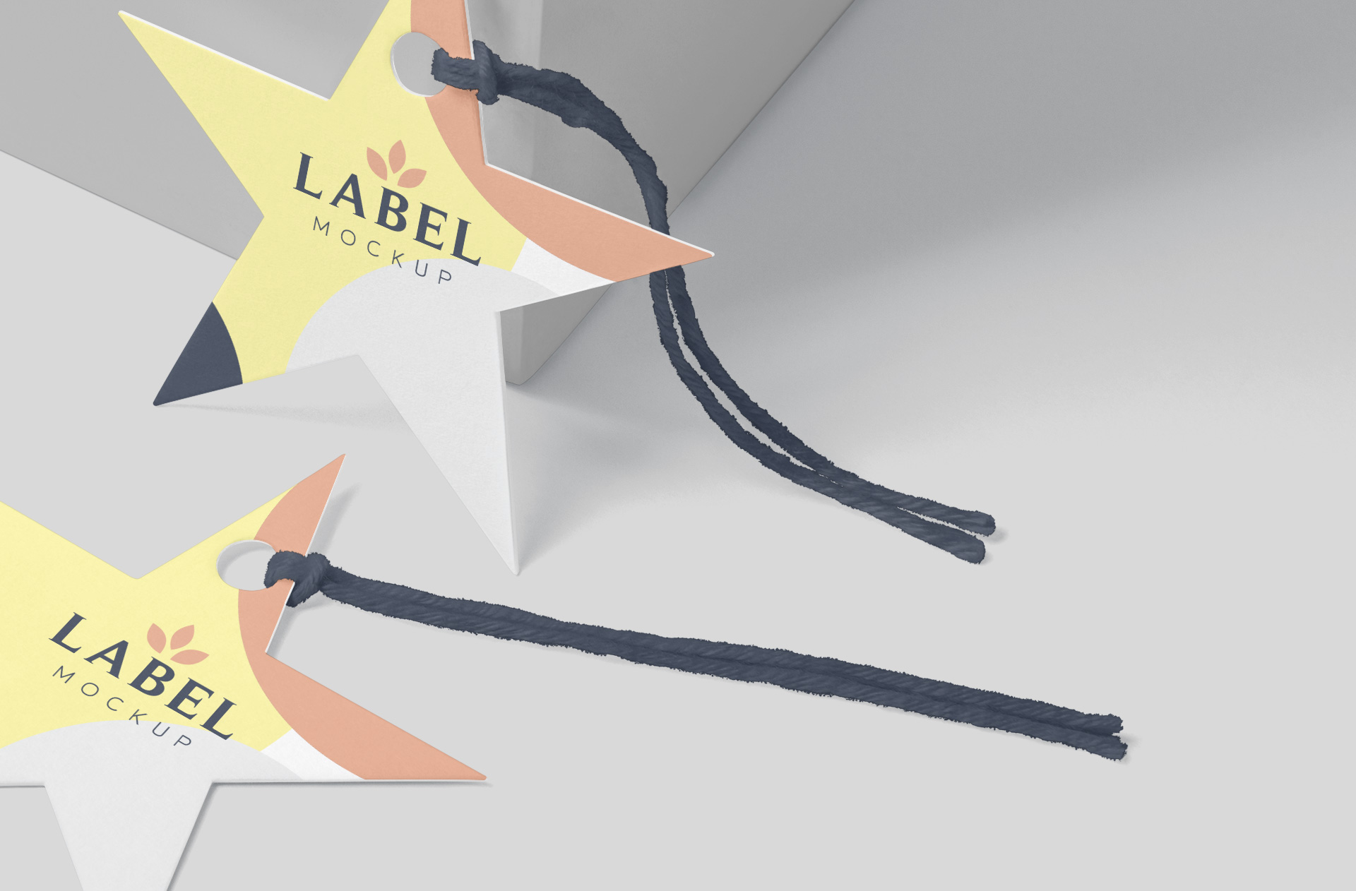 apparel branding template