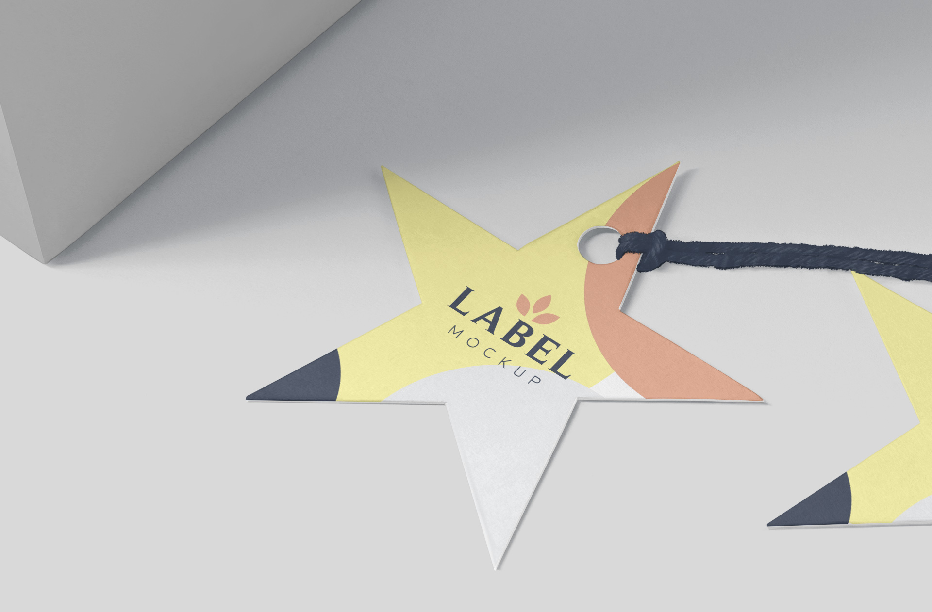 apparel branding PSD