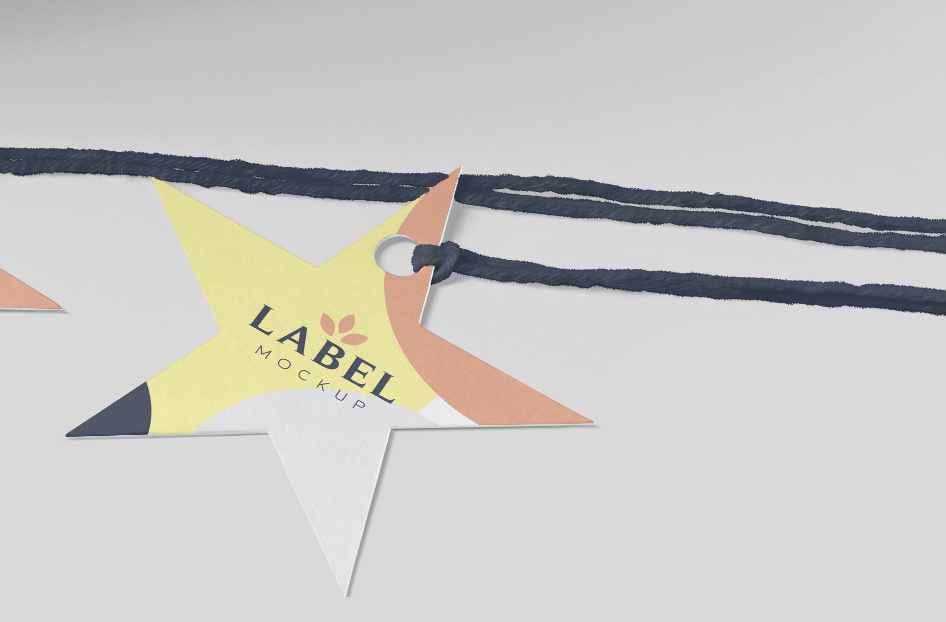 apparel branding PSD