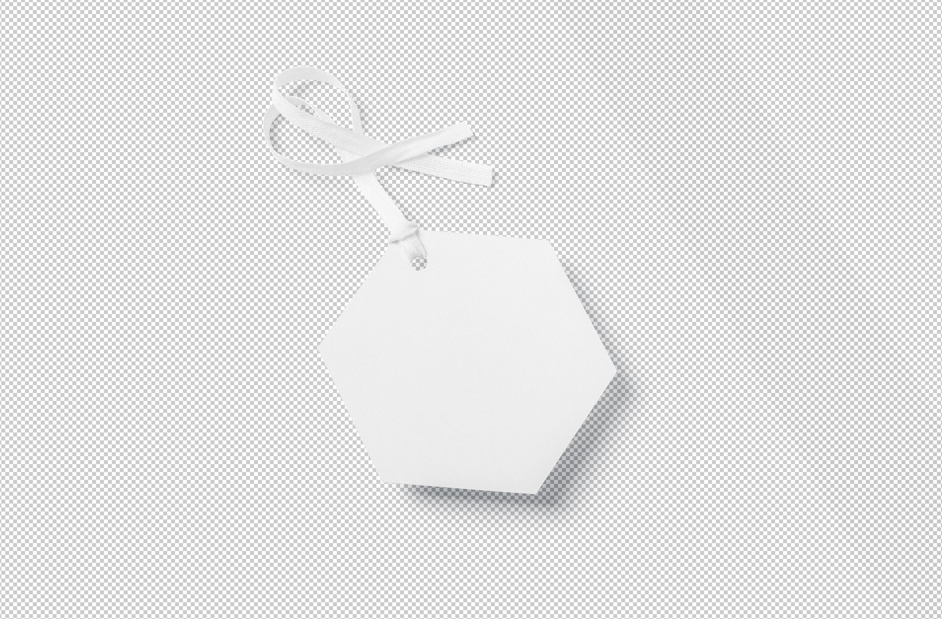 apparel branding template