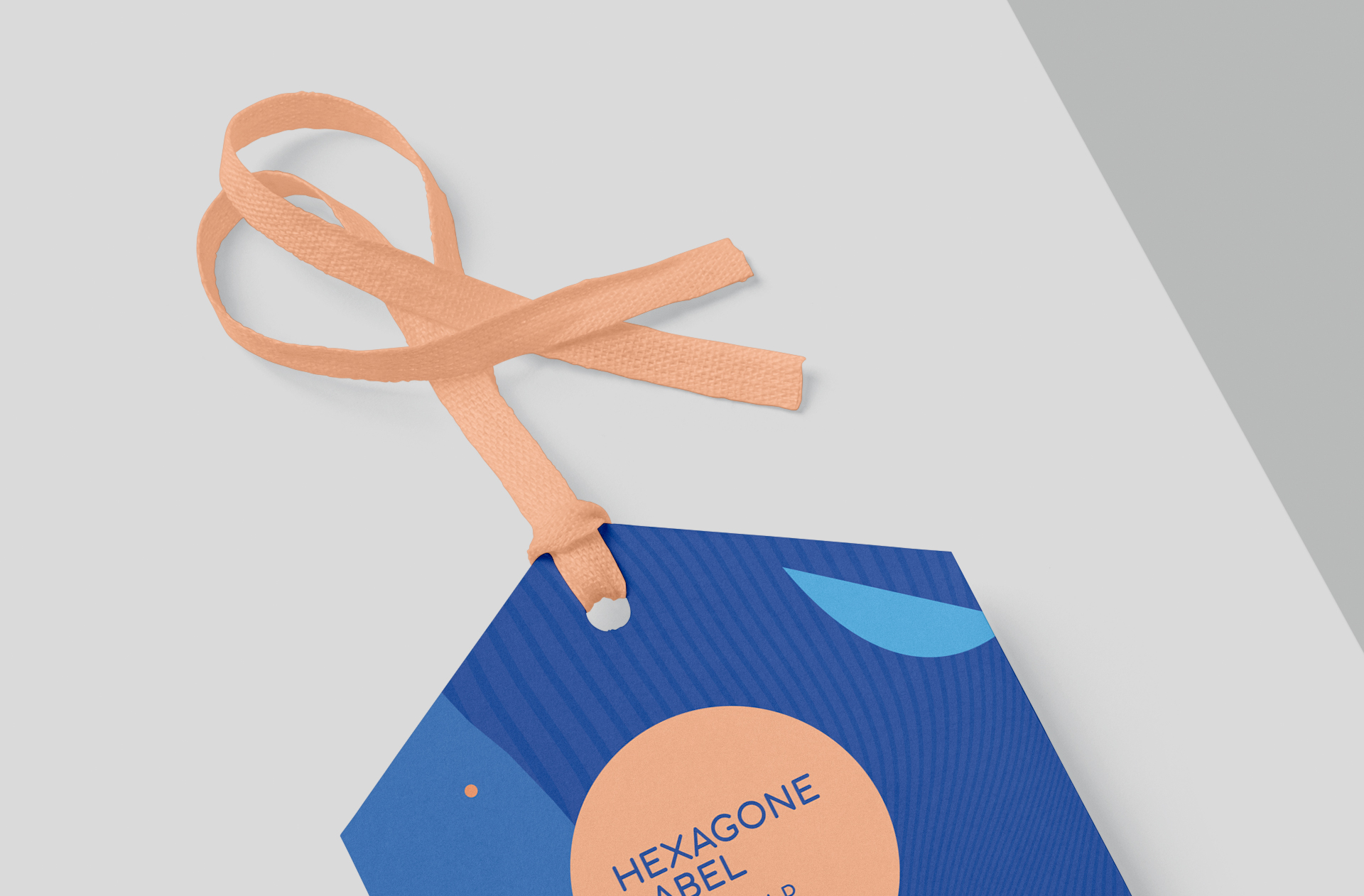 apparel branding template