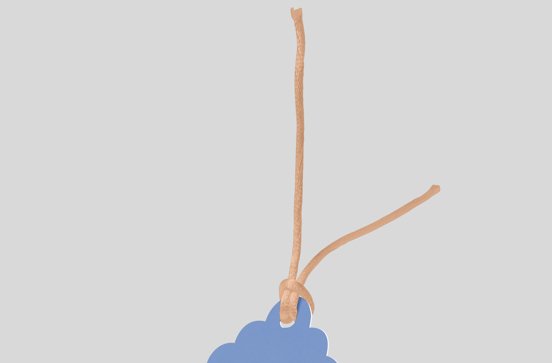 brand identity swing tag