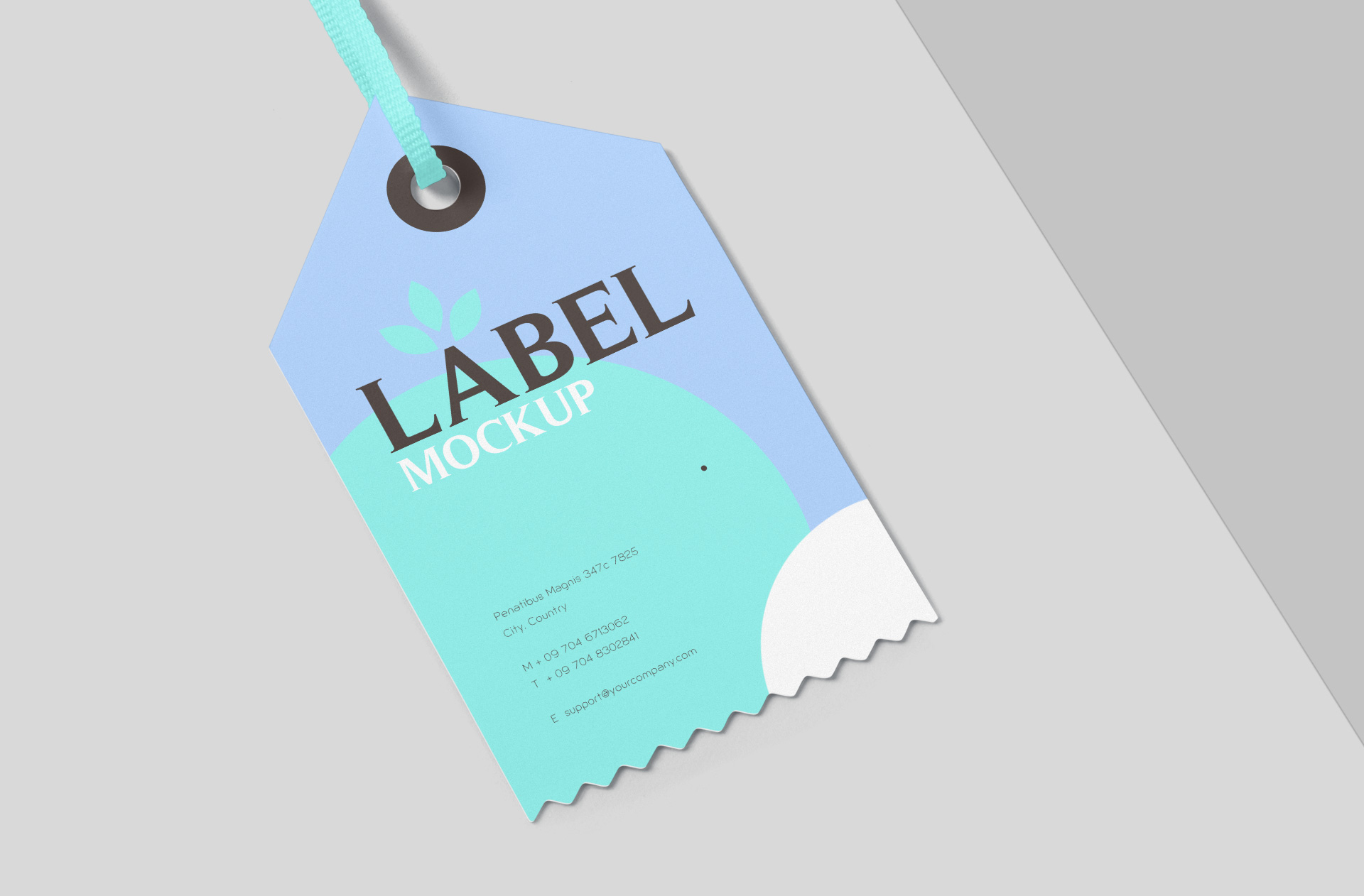 customizable branding mock-up