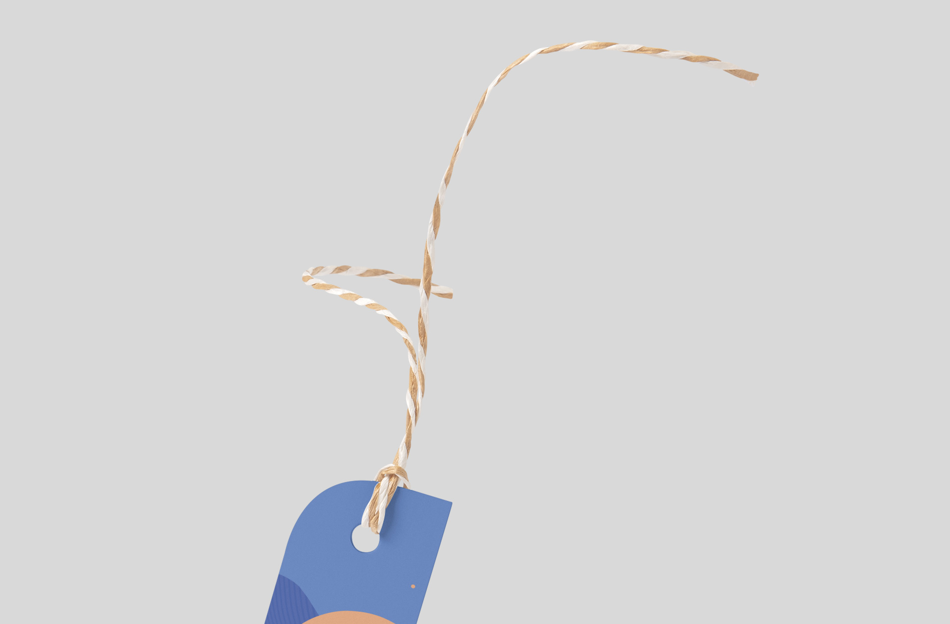 brand identity swing tag