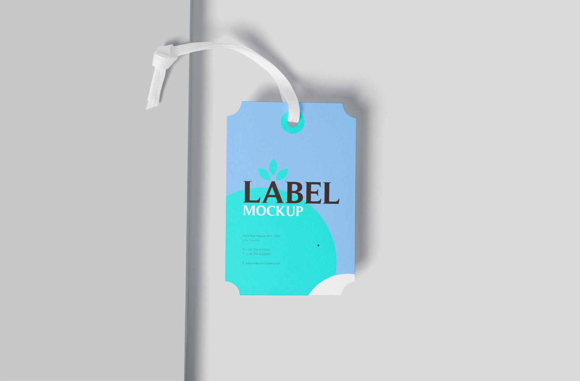 Modern Fashion Hang Tag Mockup for Retail Labels