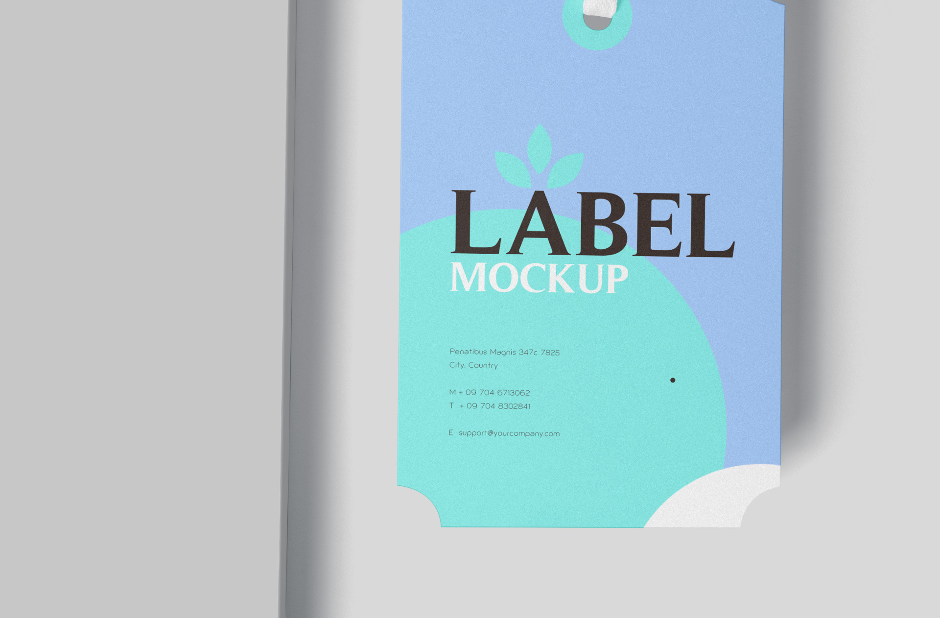customizable branding mock-up