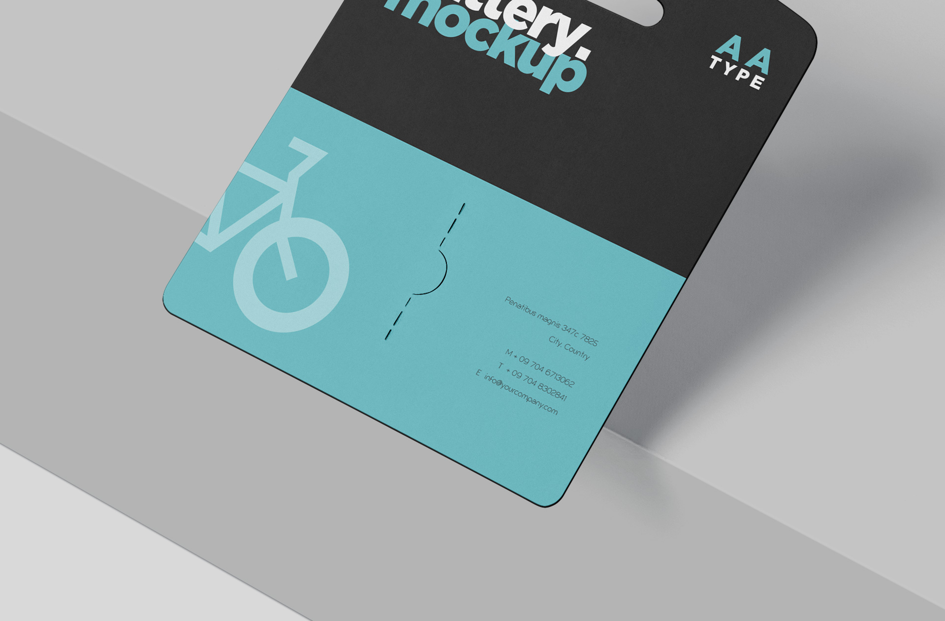 AA battery blister pack mock-up