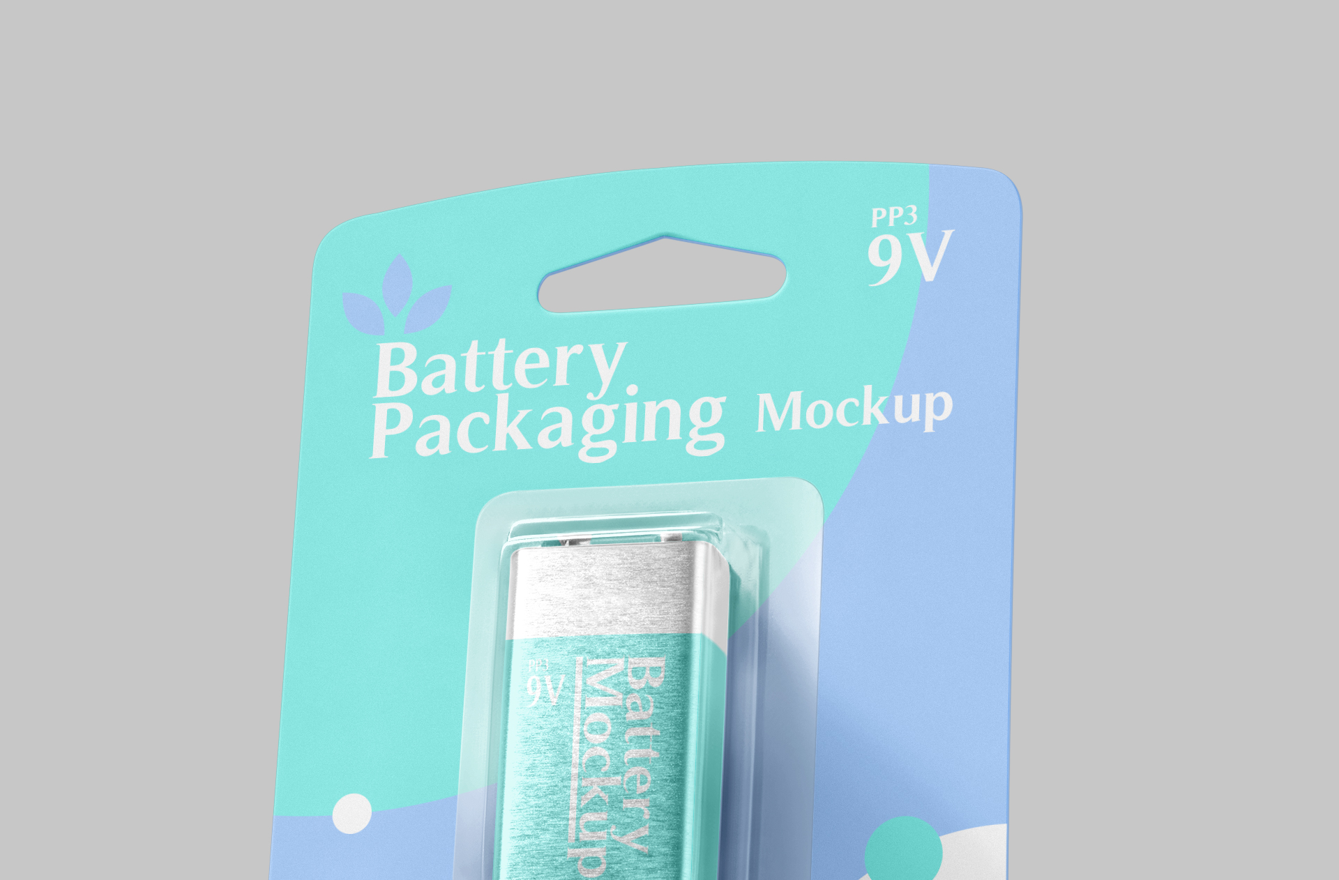 battery blister pack mock-up