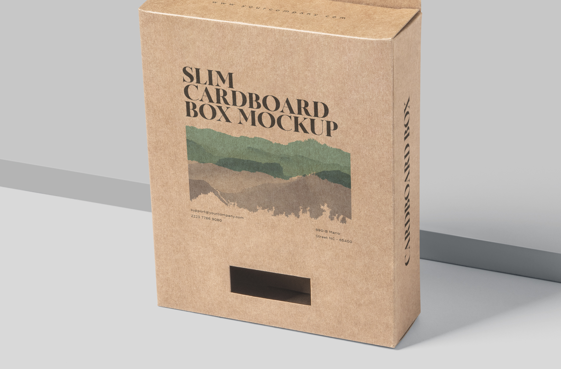 customizable packaging mock-up