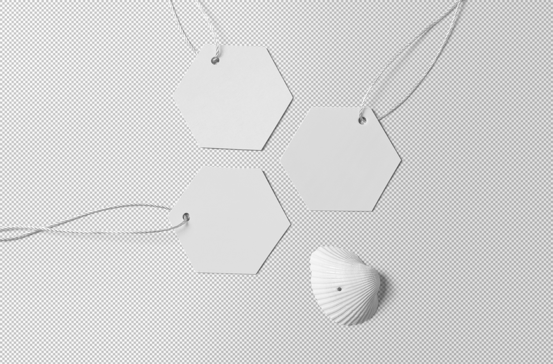 apparel branding label
