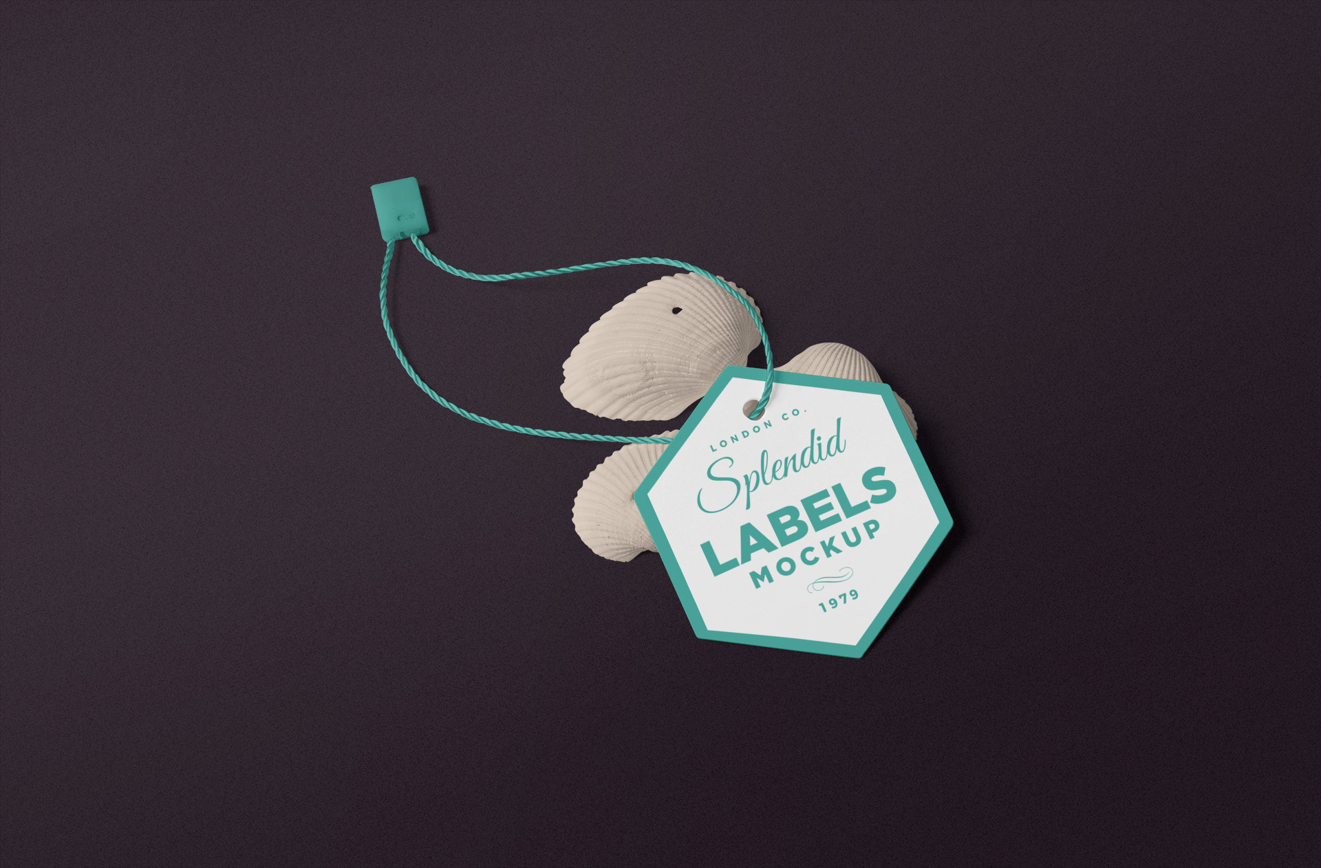 Hanging Label Tag Mock-Up for Fashion & Retail