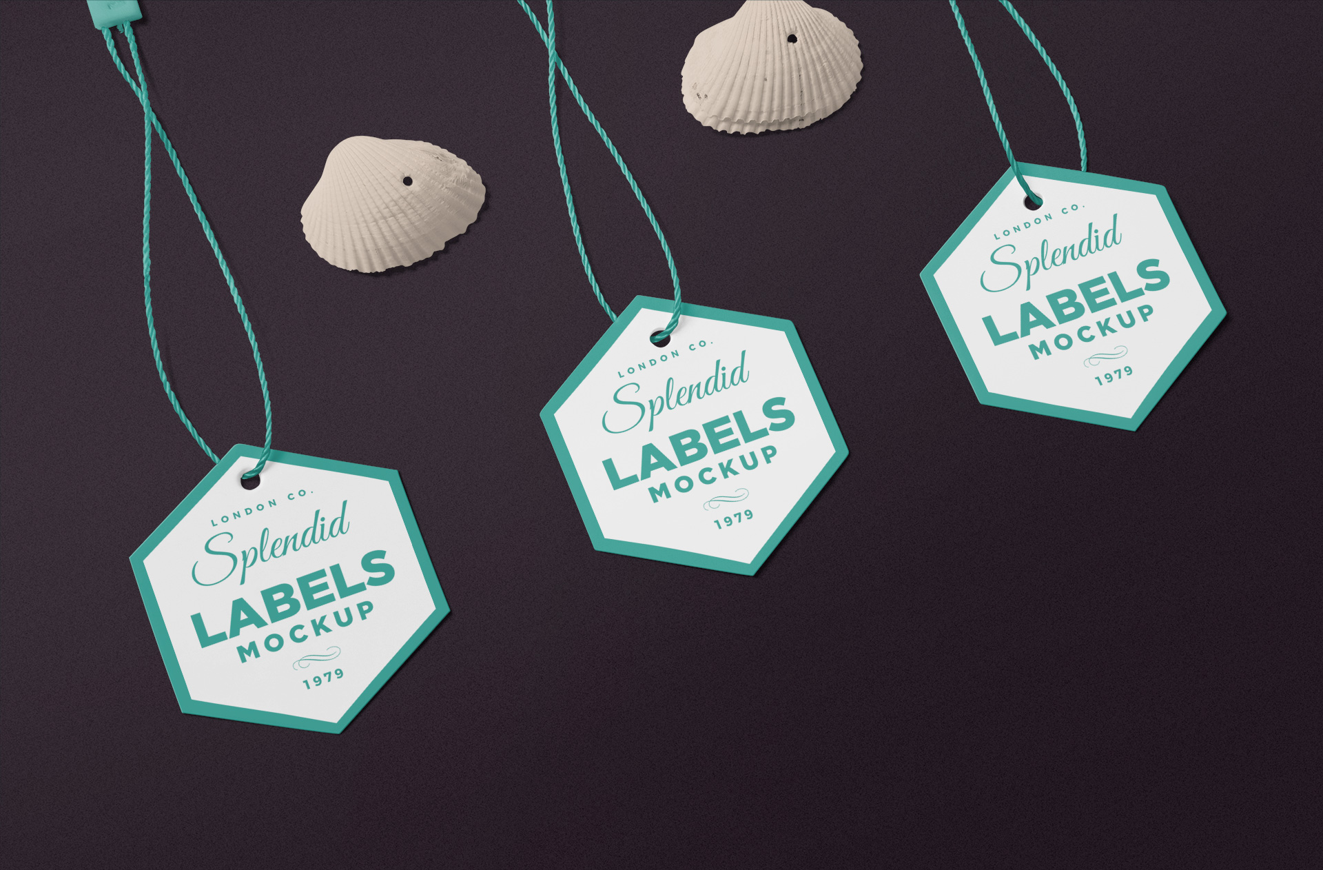 Fashion Hang Tag Mockup with Elegant Hexagonal Shape