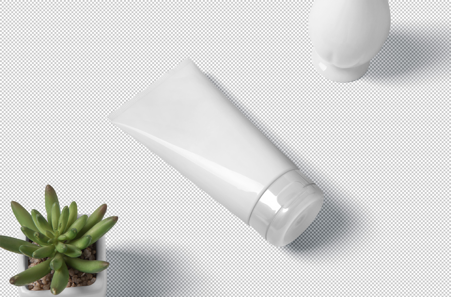 beauty branding mock-up
