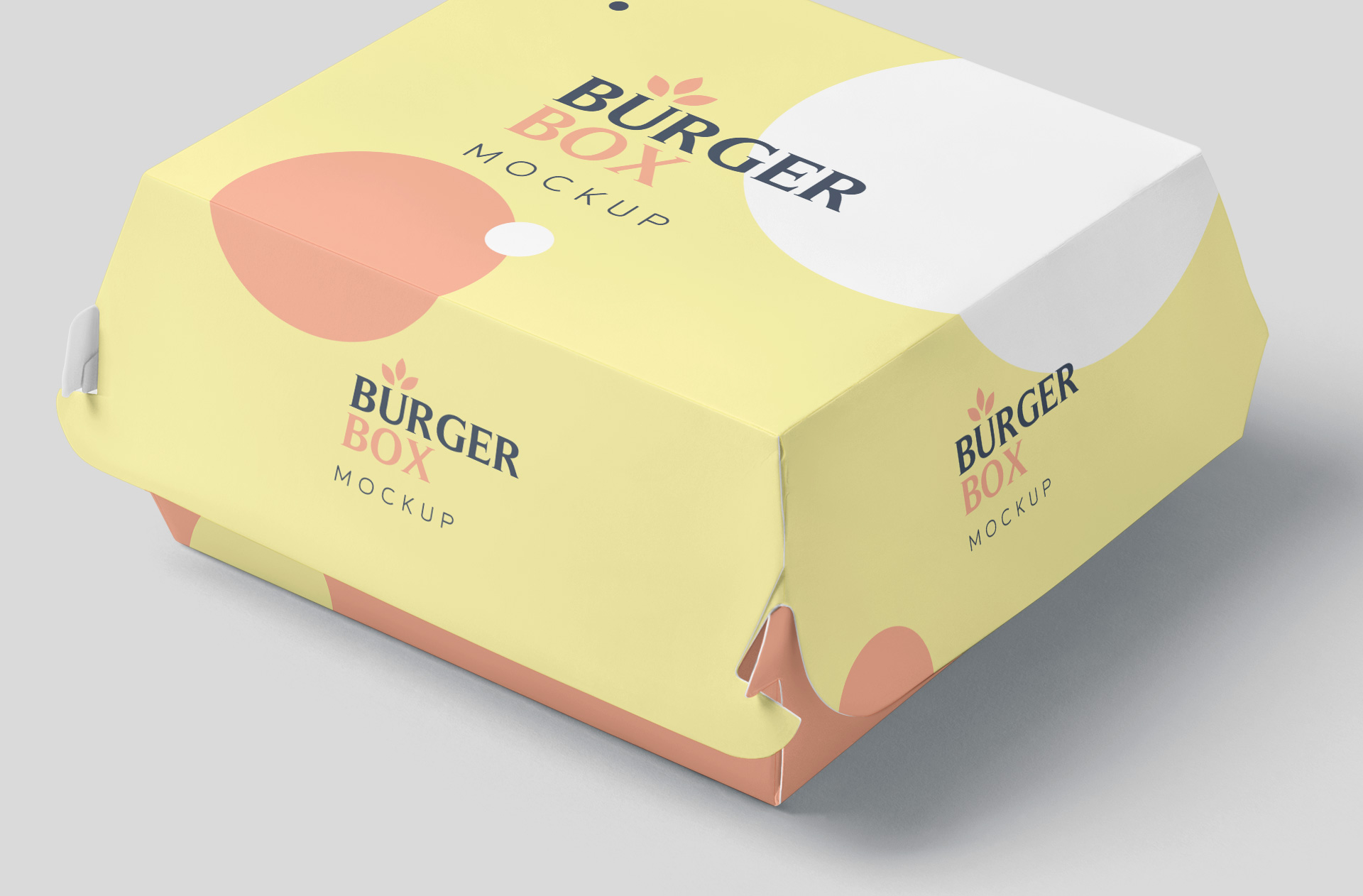 burger box mock-up